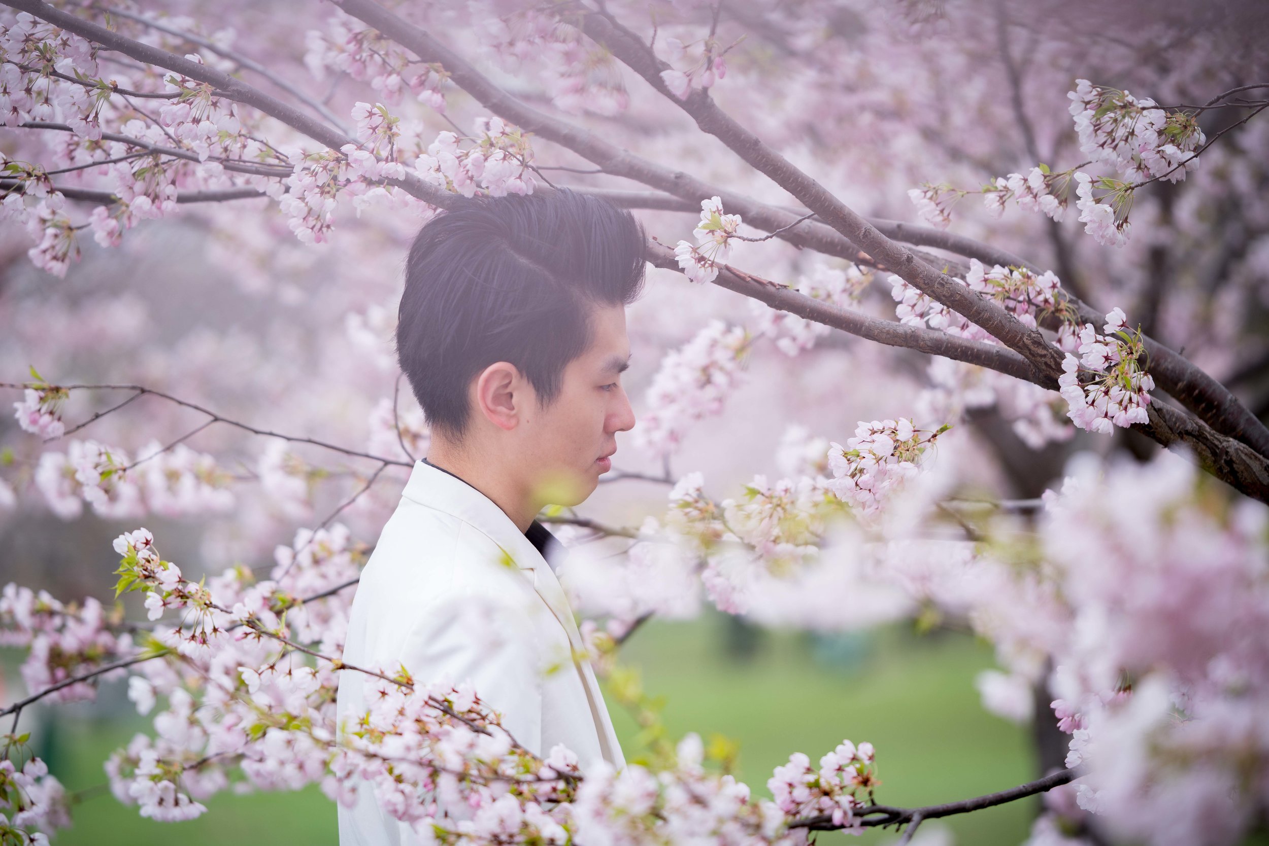 66-DP-sakura-DSC04845.jpg
