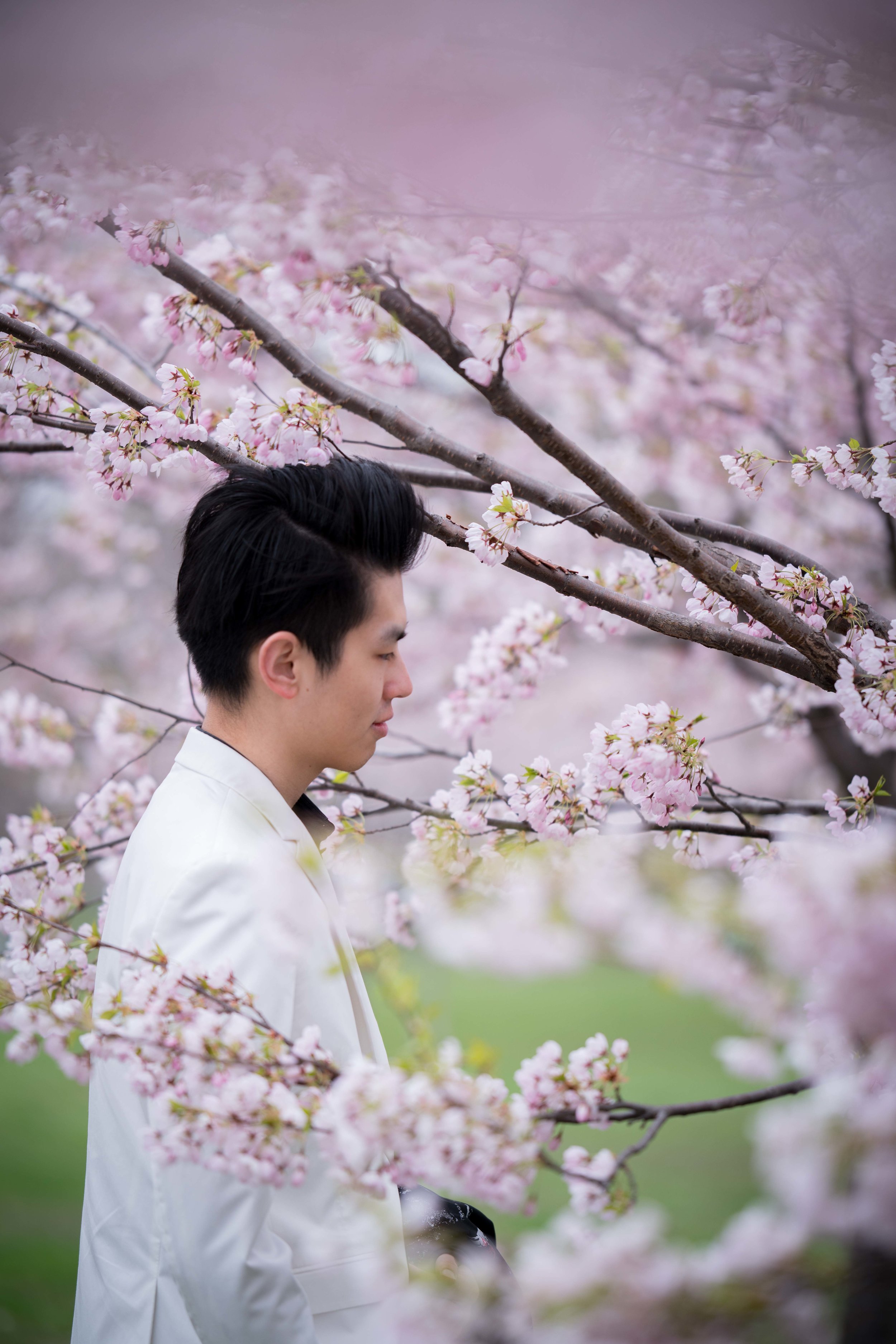 69-DP-sakura-DSC04850.jpg