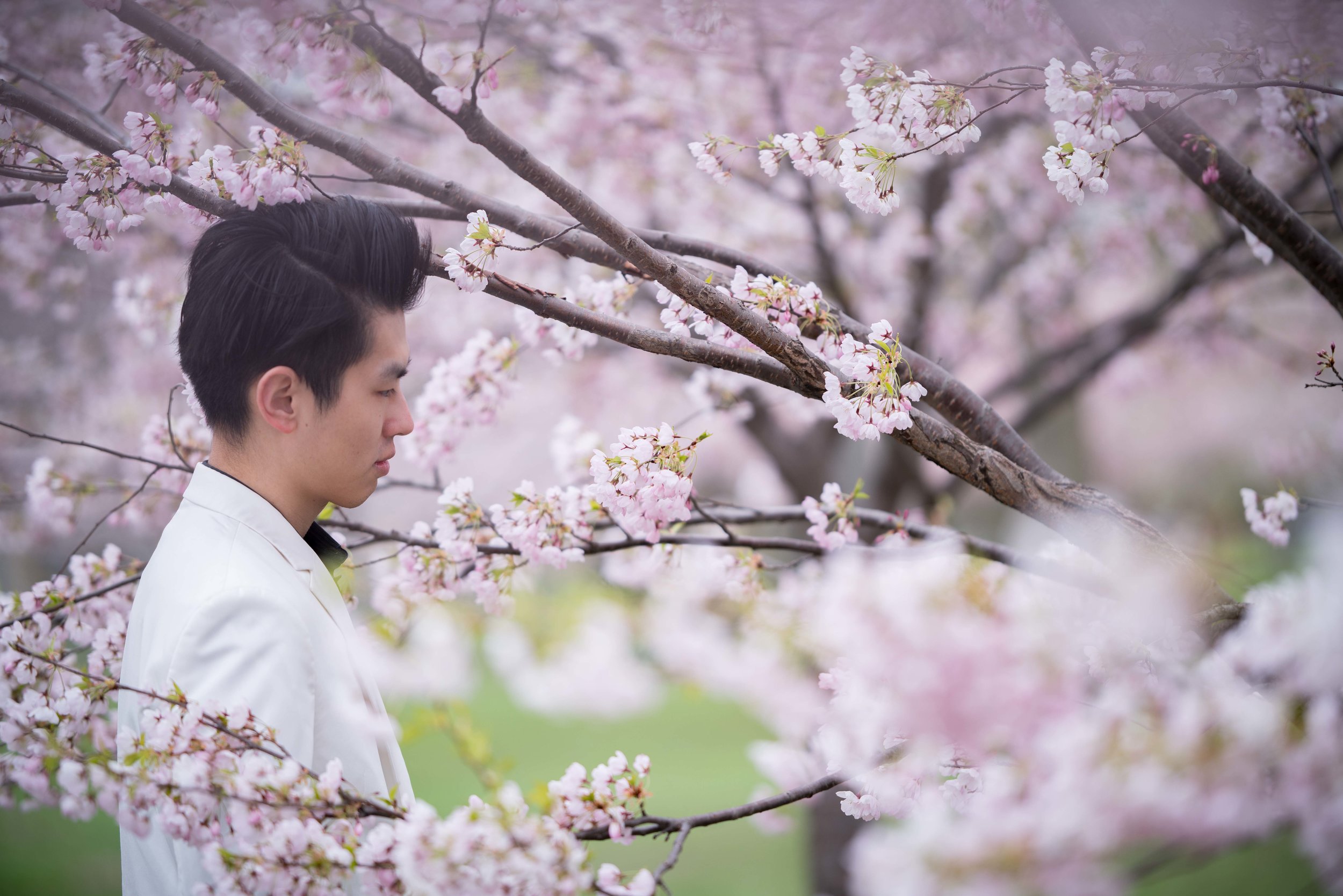 68-DP-sakura-DSC04846.jpg