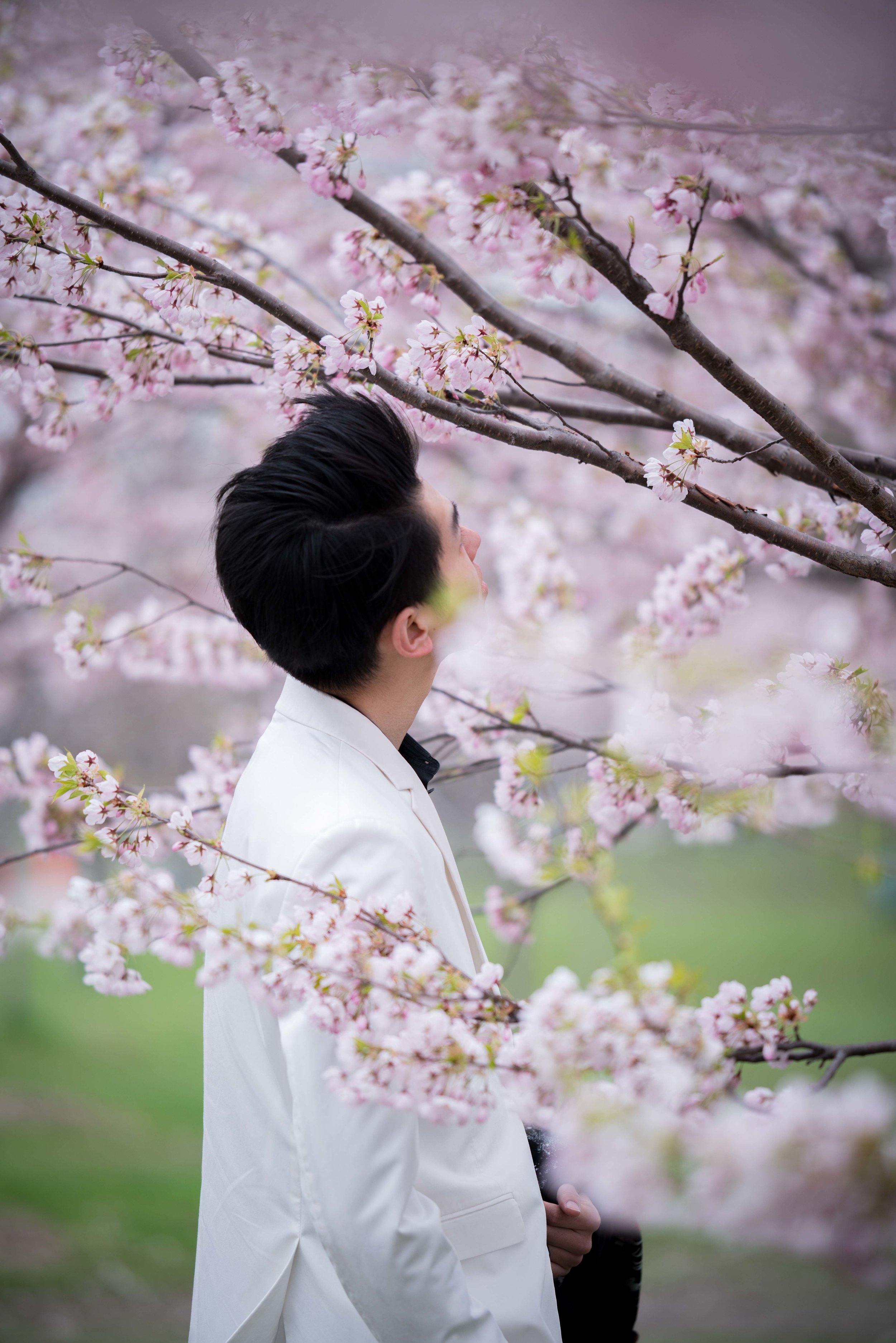 70-DP-sakura-DSC04852.jpg