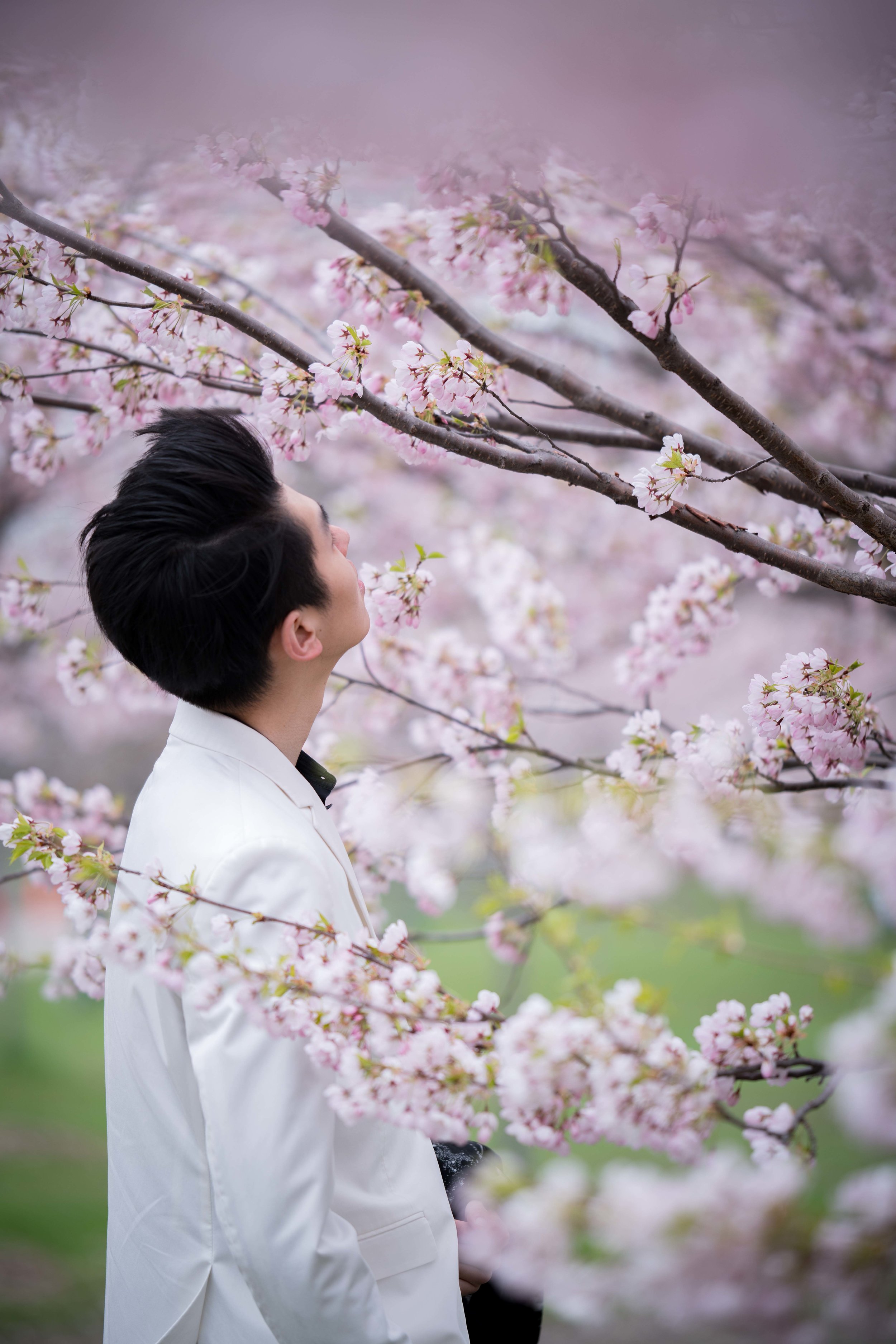 71-DP-sakura-DSC04853.jpg