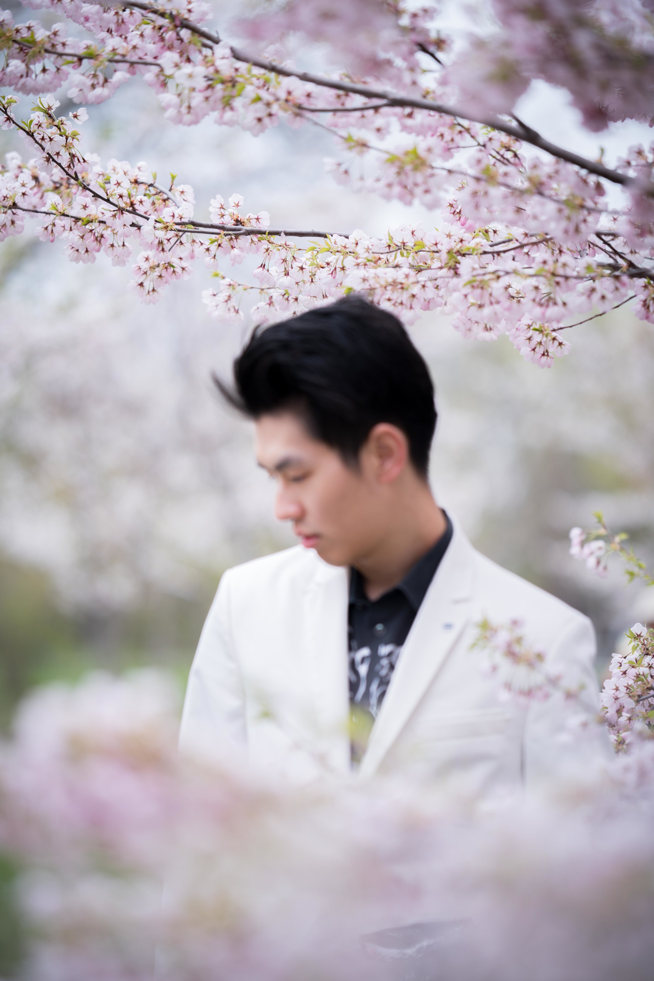 72-DP-sakura-DSC04858.jpg