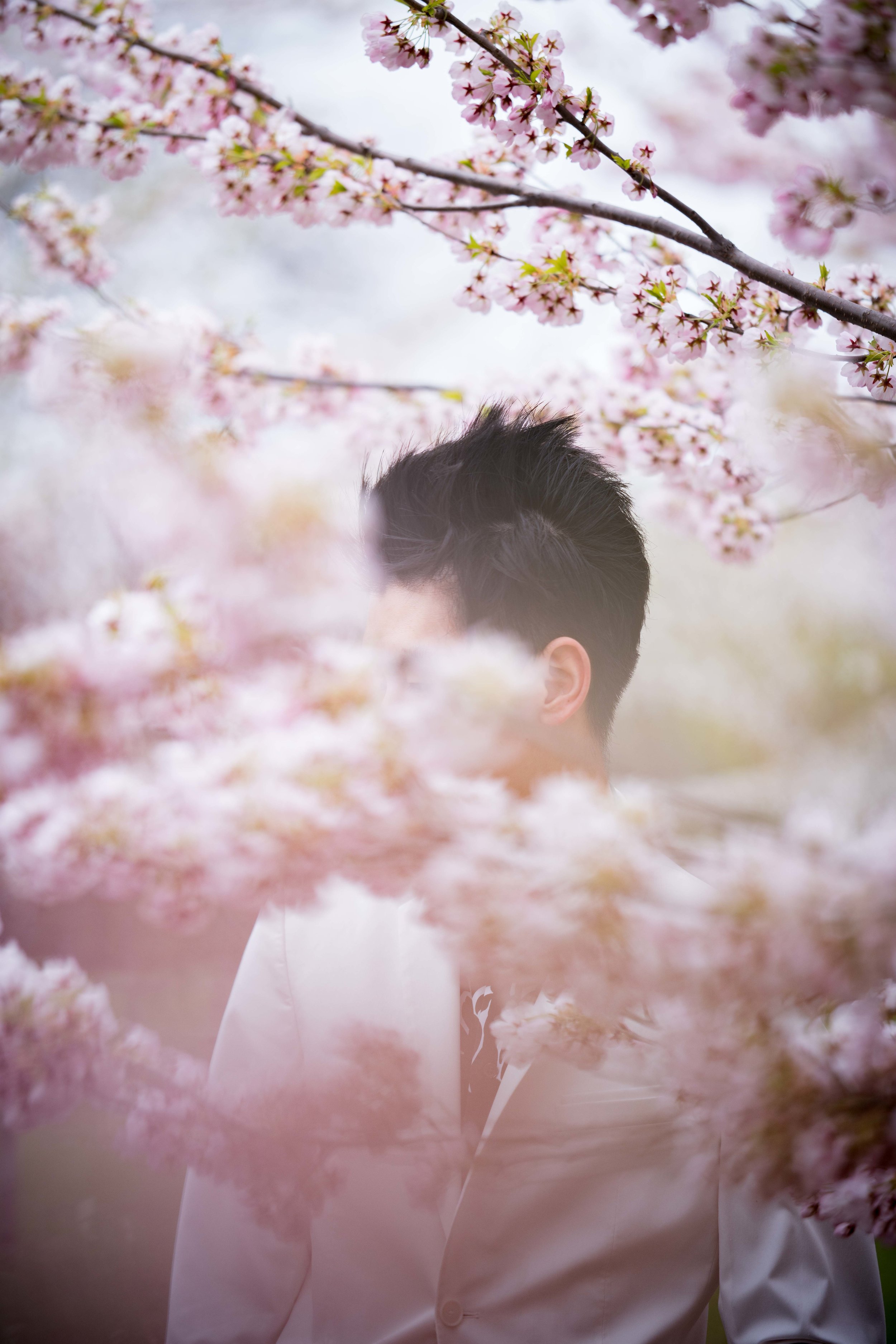 73-DP-sakura-DSC04859.jpg