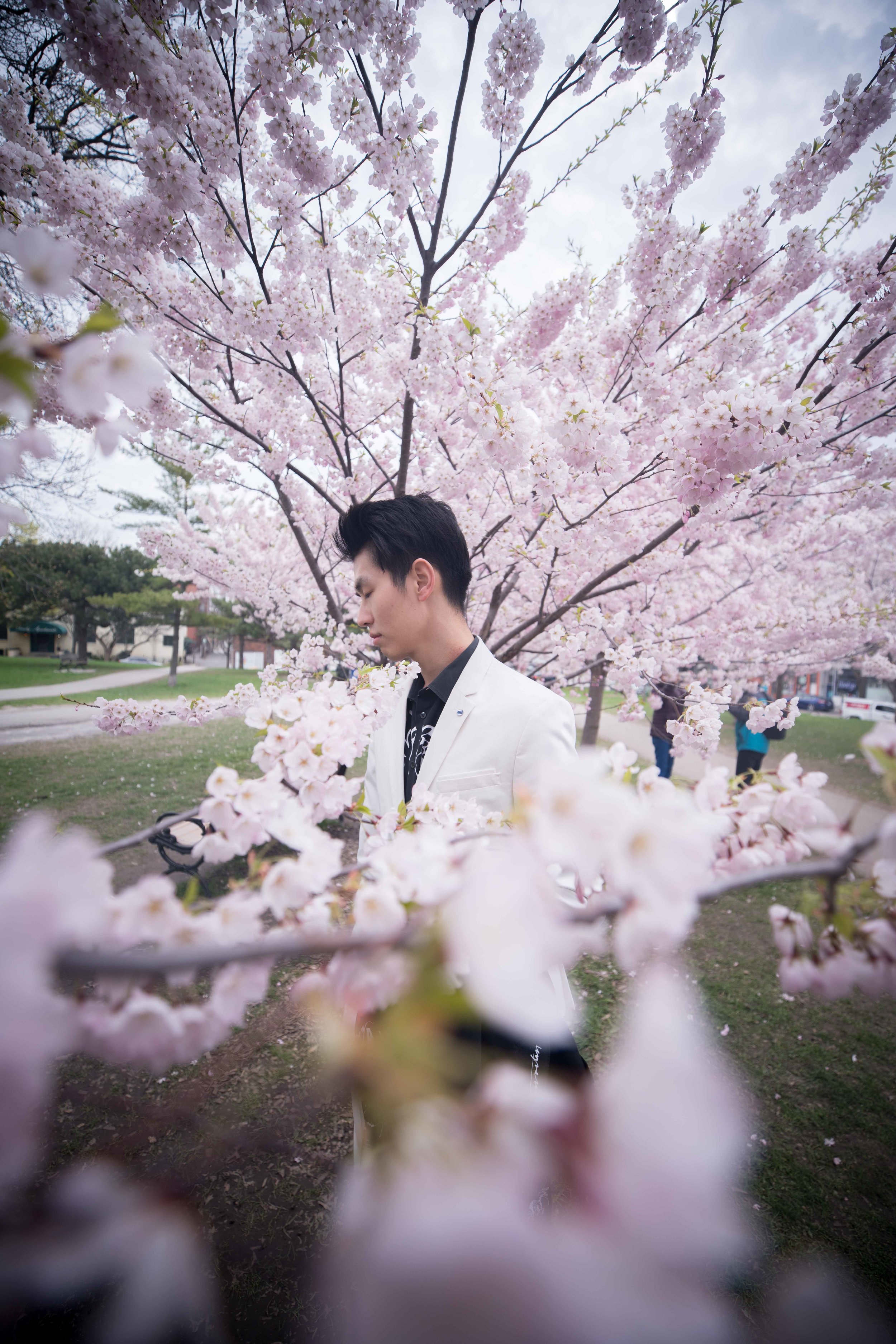 86-DP-sakura-DSC04873.jpg