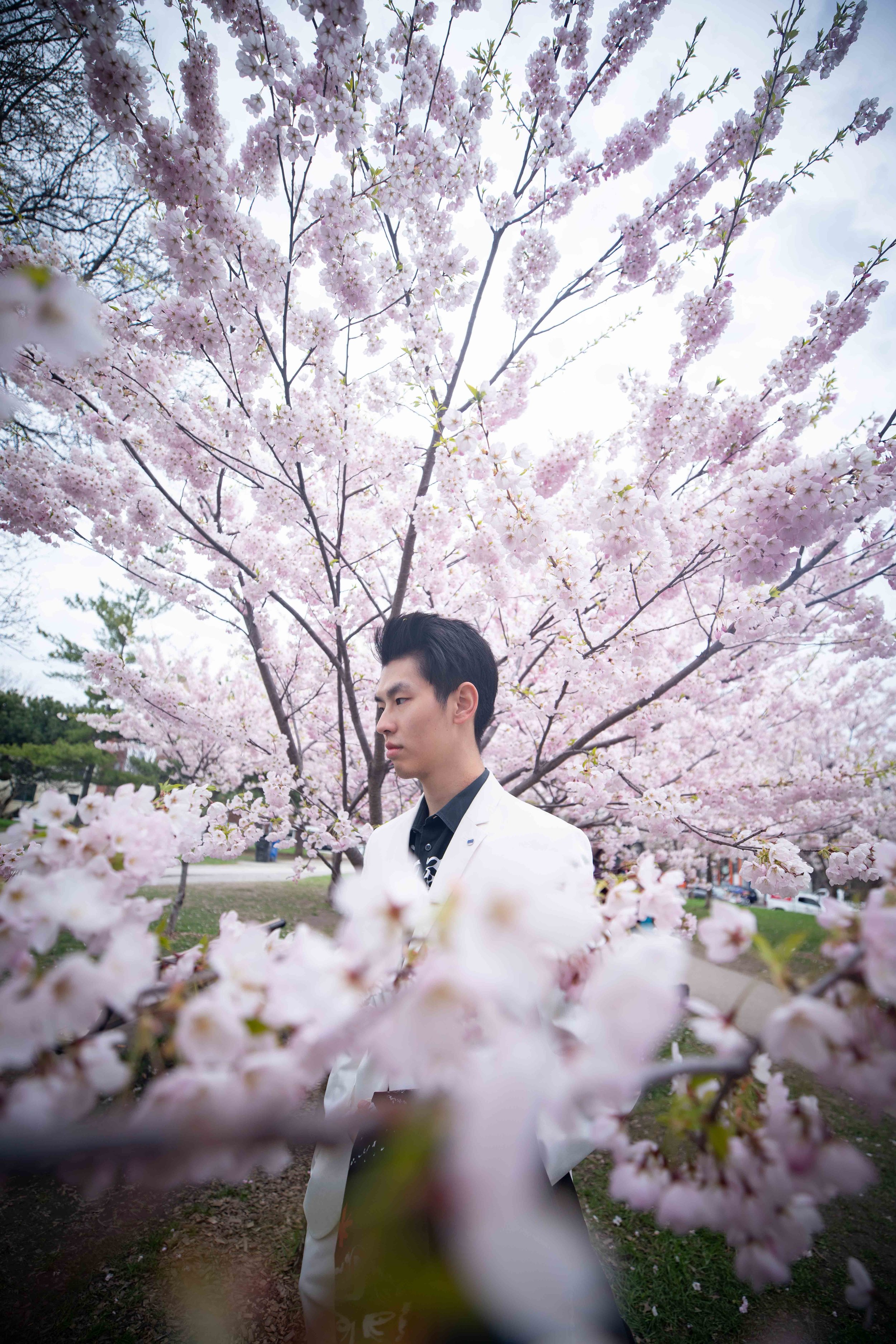 88-DP-sakura-DSC04880.jpg