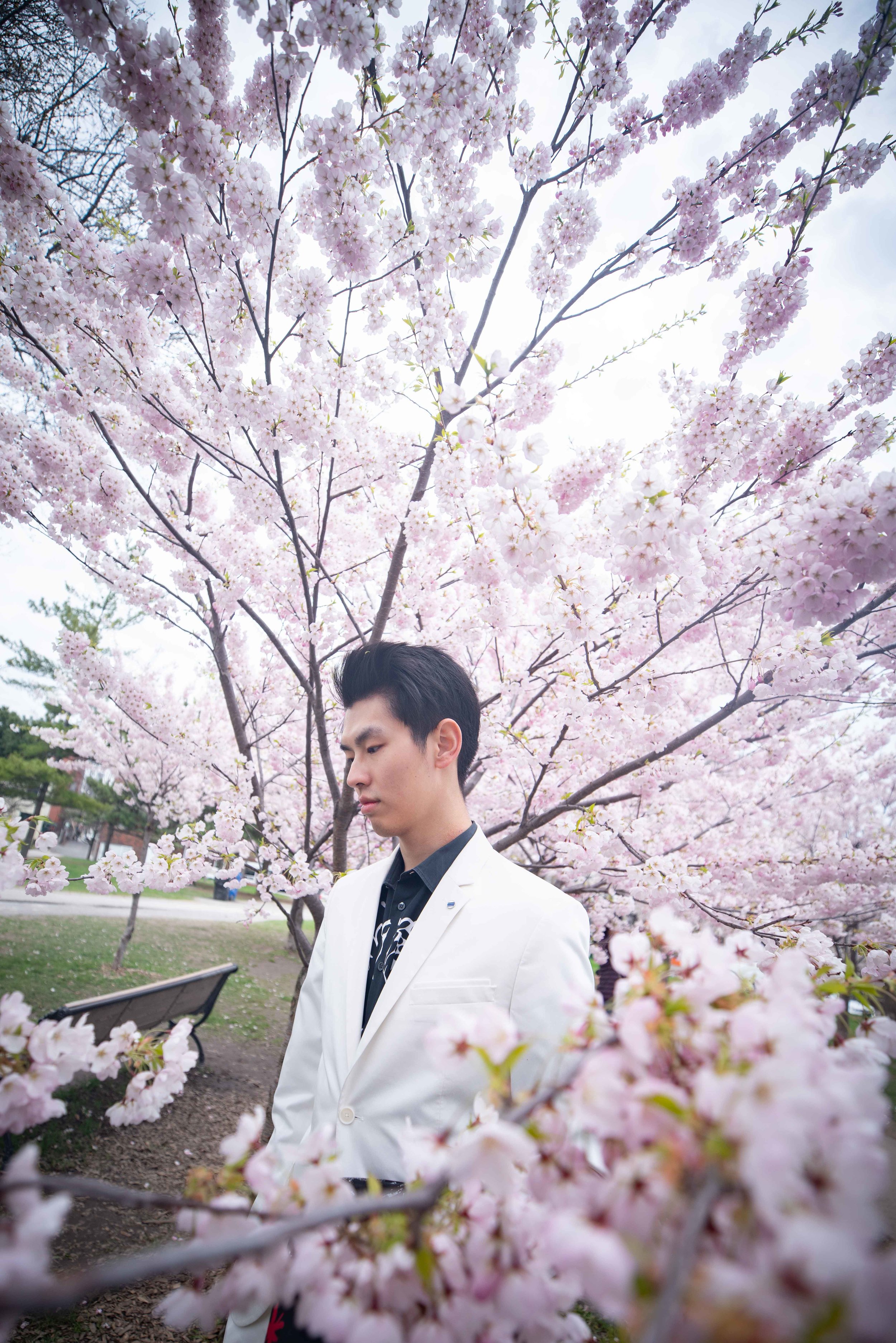90-DP-sakura-DSC04881.jpg
