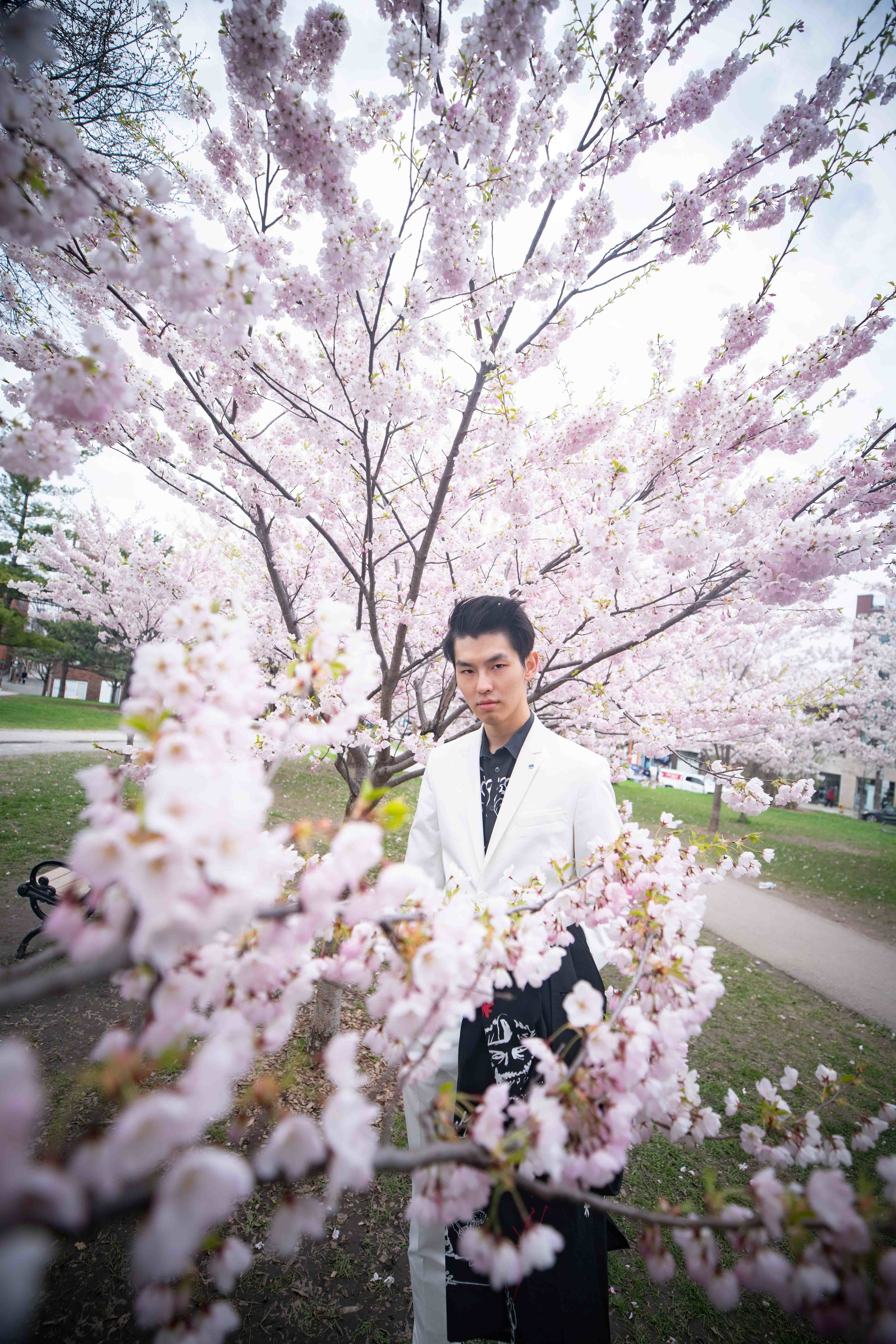 91-DP-sakura-DSC04883.jpg