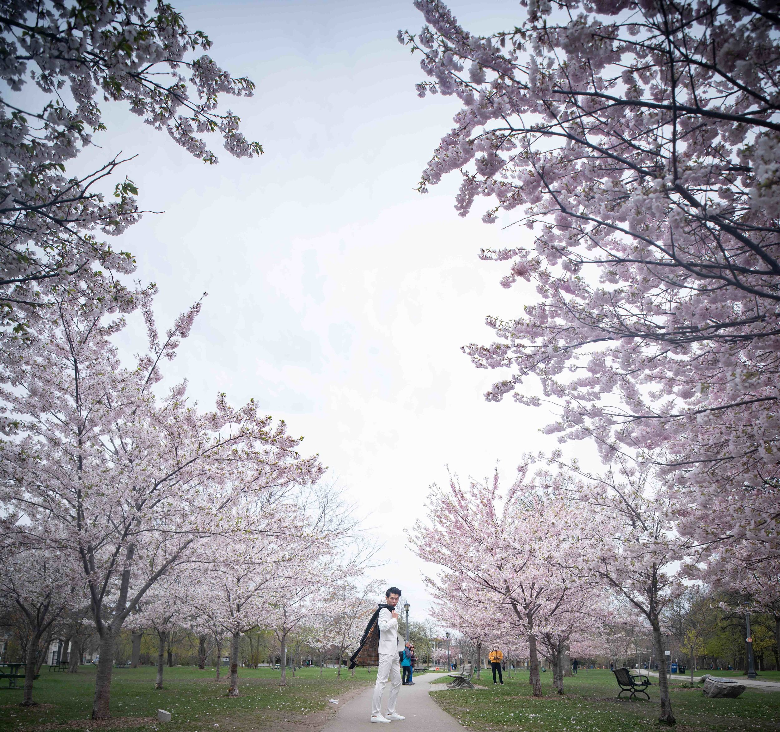 97-DP-sakura-DSC04891.jpg