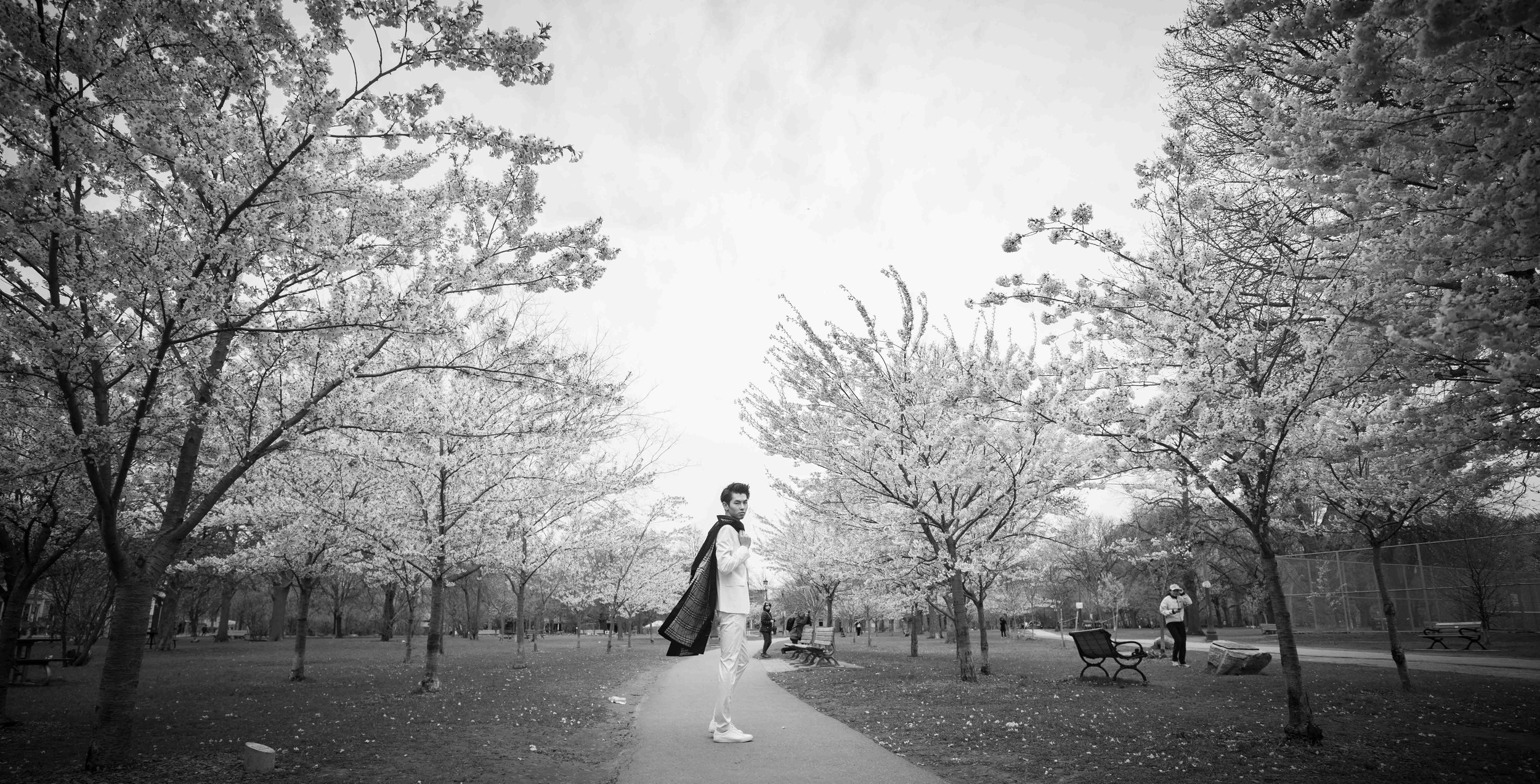 99-DP-sakura-DSC04894.jpg
