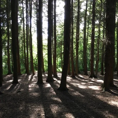 Life after childlessness by Victoria