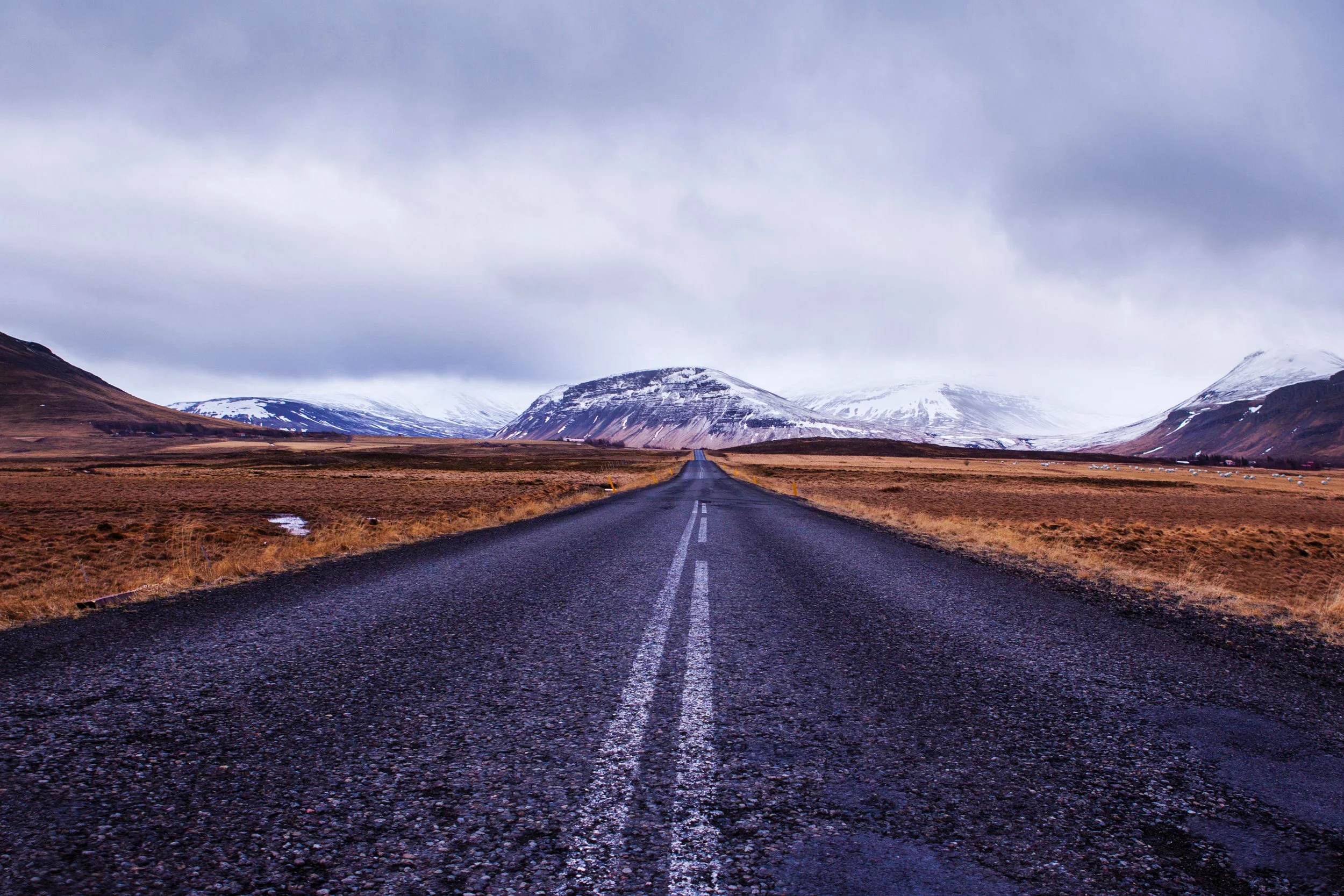 The Best Laid Plans by Tanya Trusler