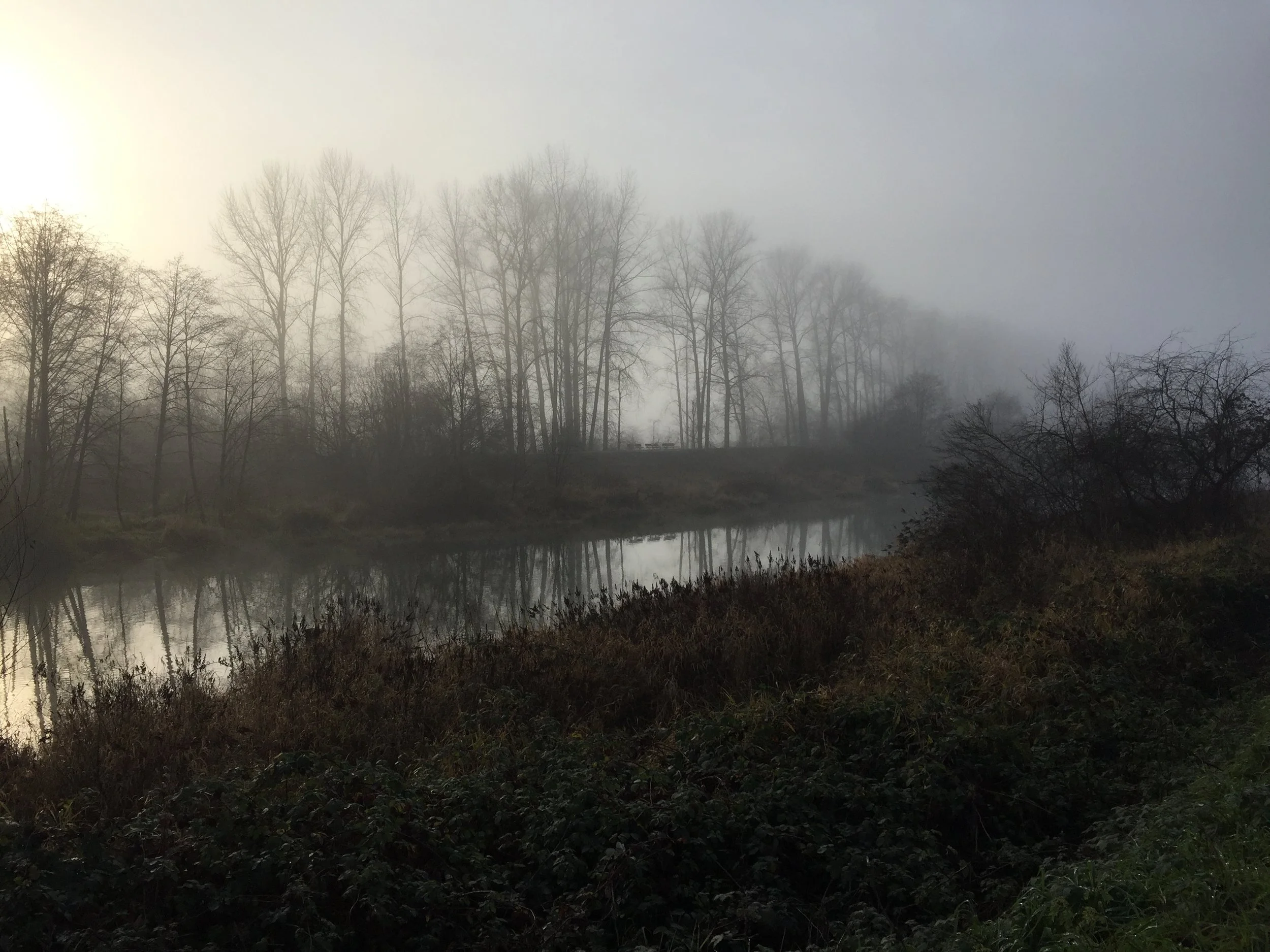 World Childless Week Tanya Trusler - Lost in the Fog.jpg