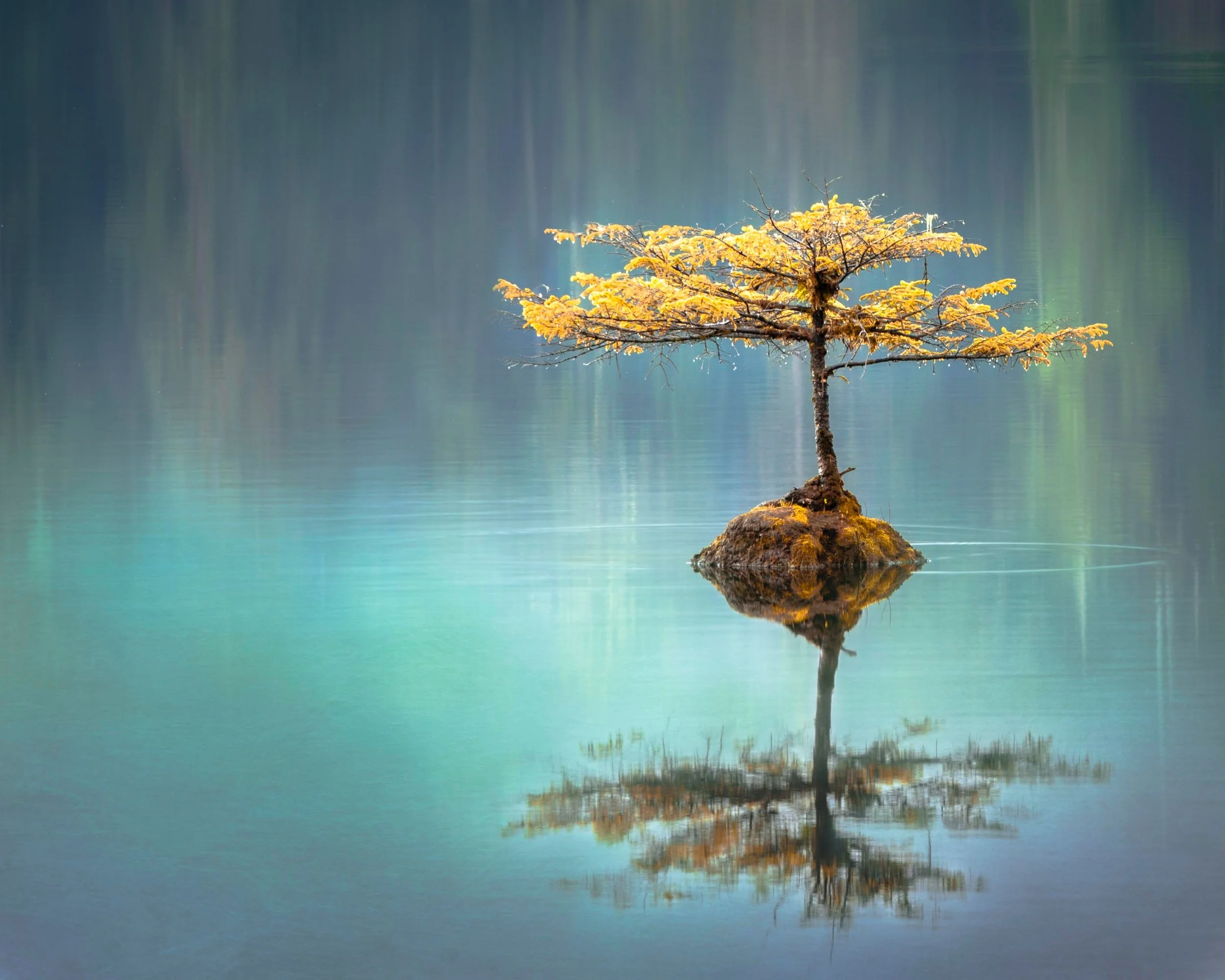Parallel Universe by Grace Zinnia