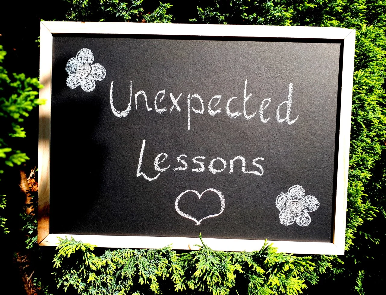Unexpected Lessons