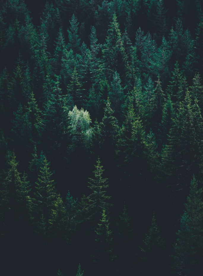 Assumptions and Avoiding the Hook 