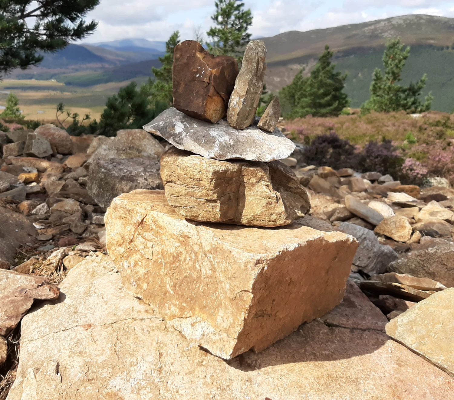 Men and Childlessness - A reflection