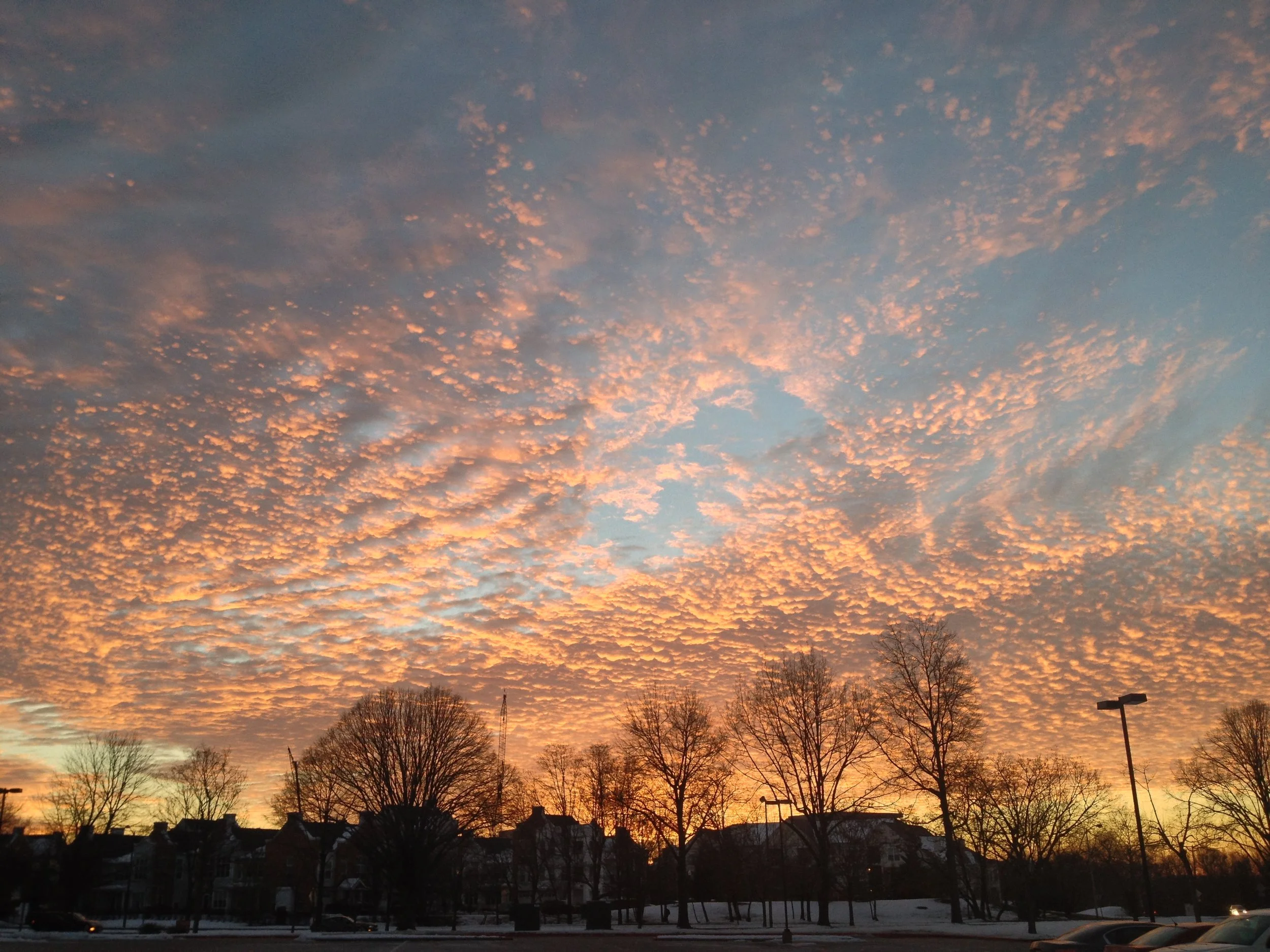 You Said “As A Parent I Have Empathy” 