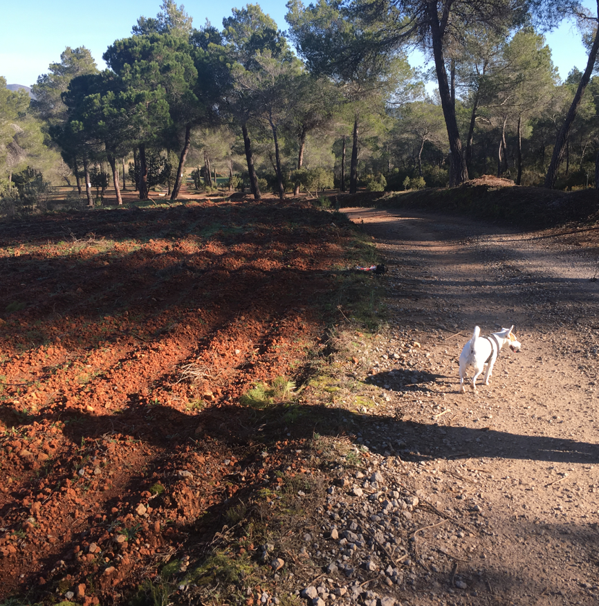 As a parent… by Jody Day