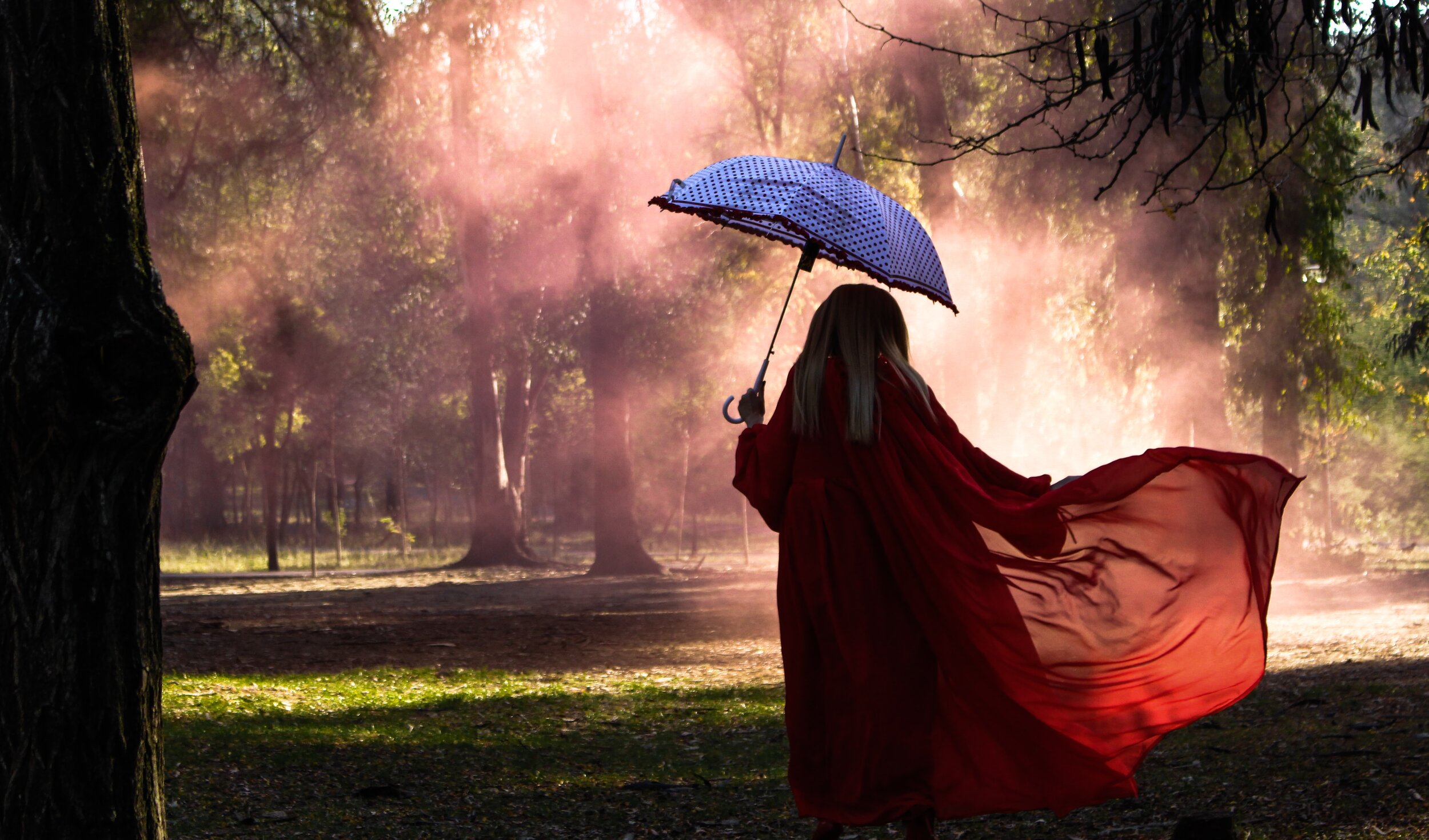 From Grief To Gratitude