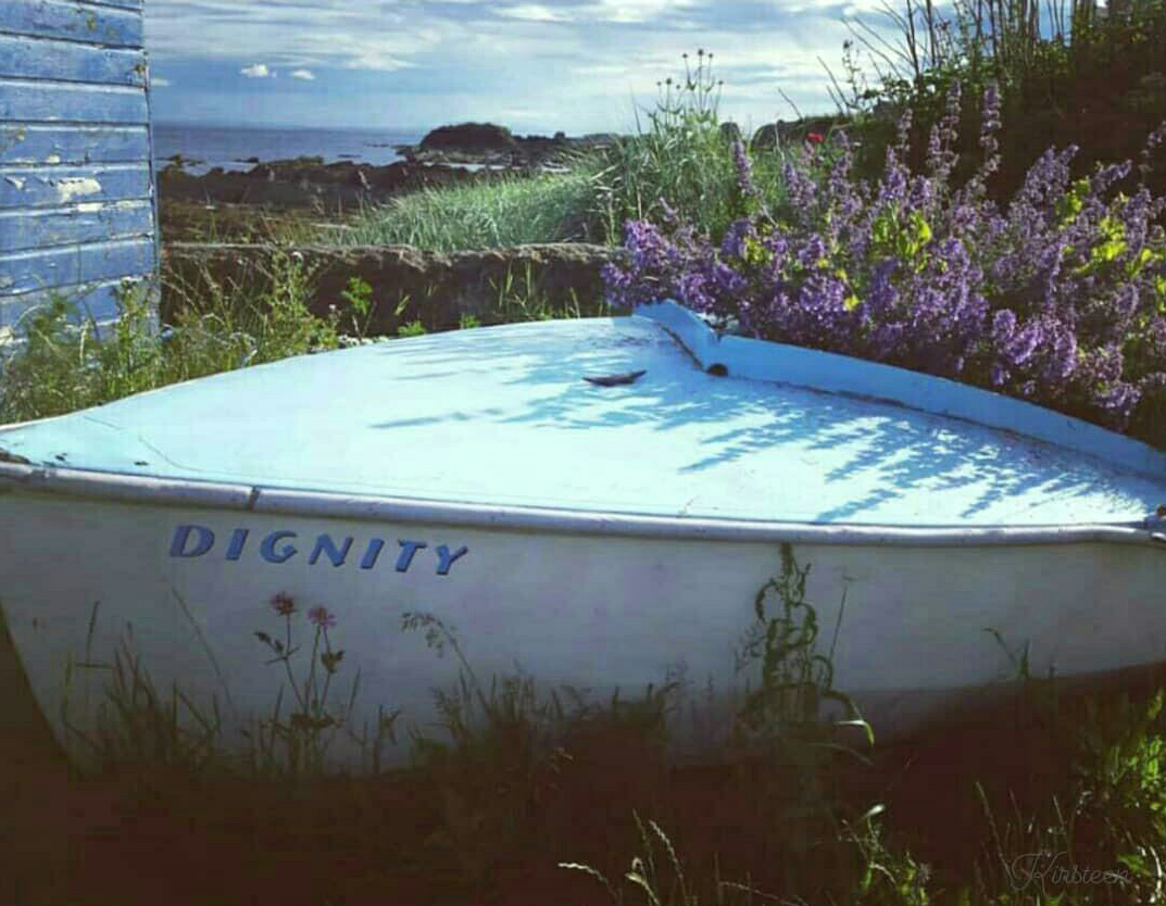 Dignity