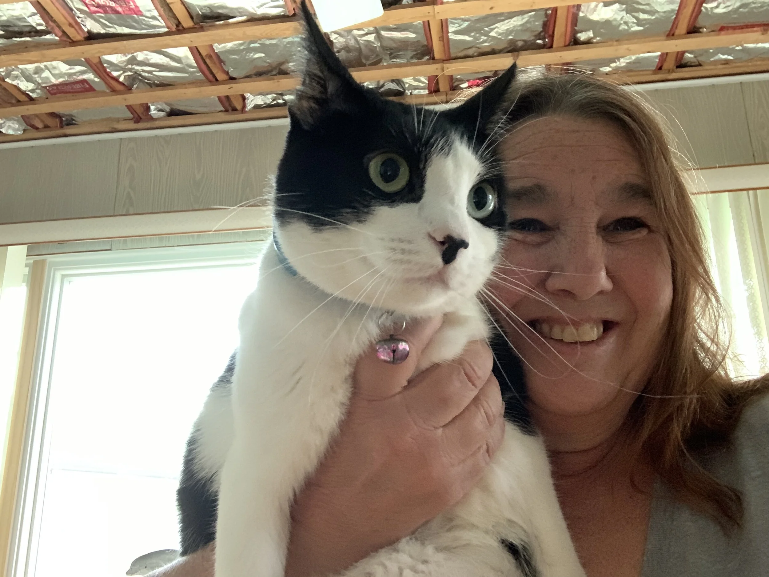 Not Everyone can Just Adopt 