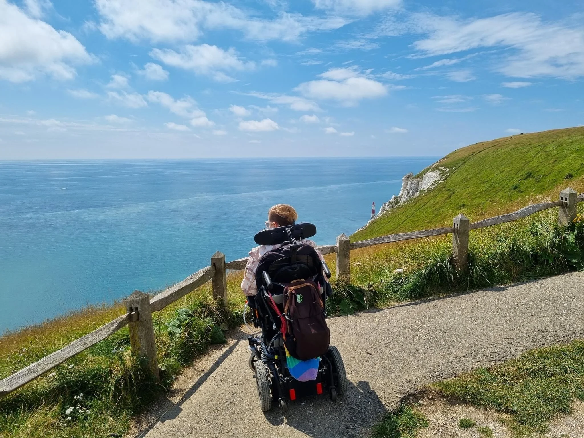 Childlessness and Disability