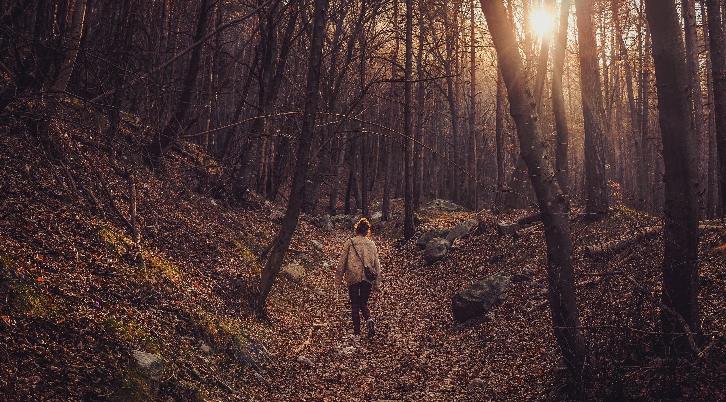 From a Childless Single, Never Married to My Childless Partnered Friends
