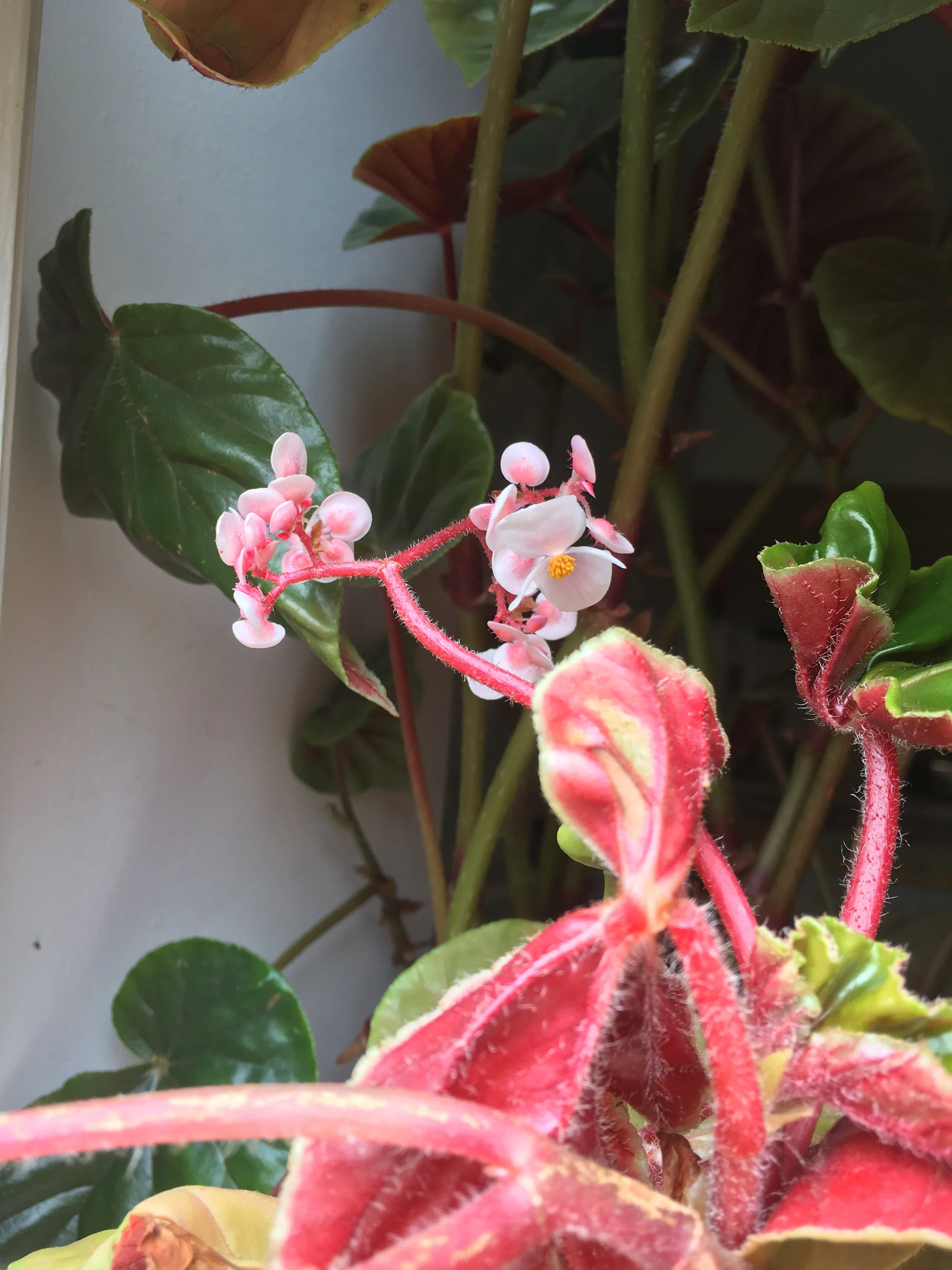 How I feel: 6 Years on from failed IVF and miscarriage