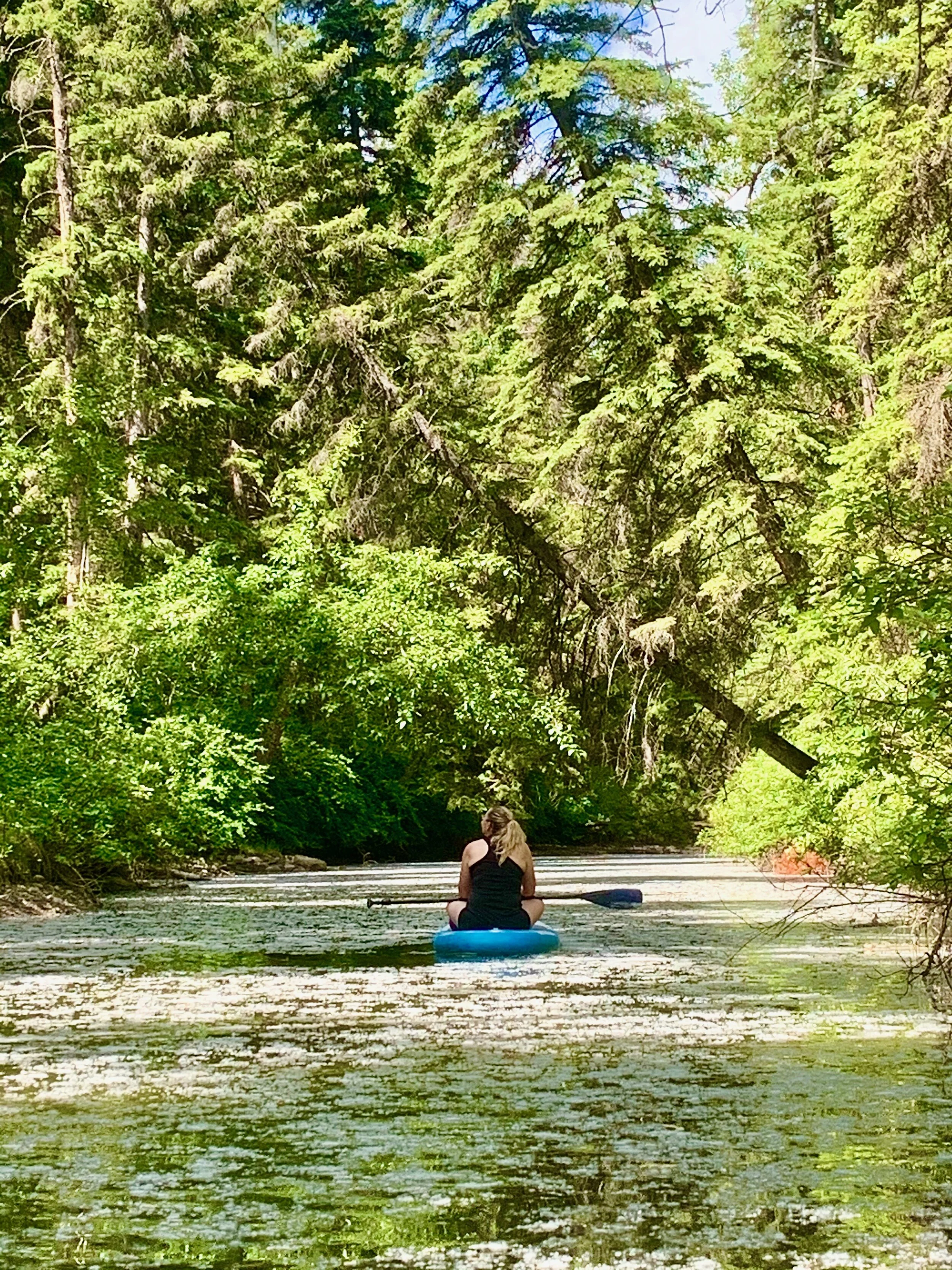 When I Grow Up I Want to be an Auntie&nbsp;&nbsp;&nbsp;&nbsp;&nbsp;&nbsp;