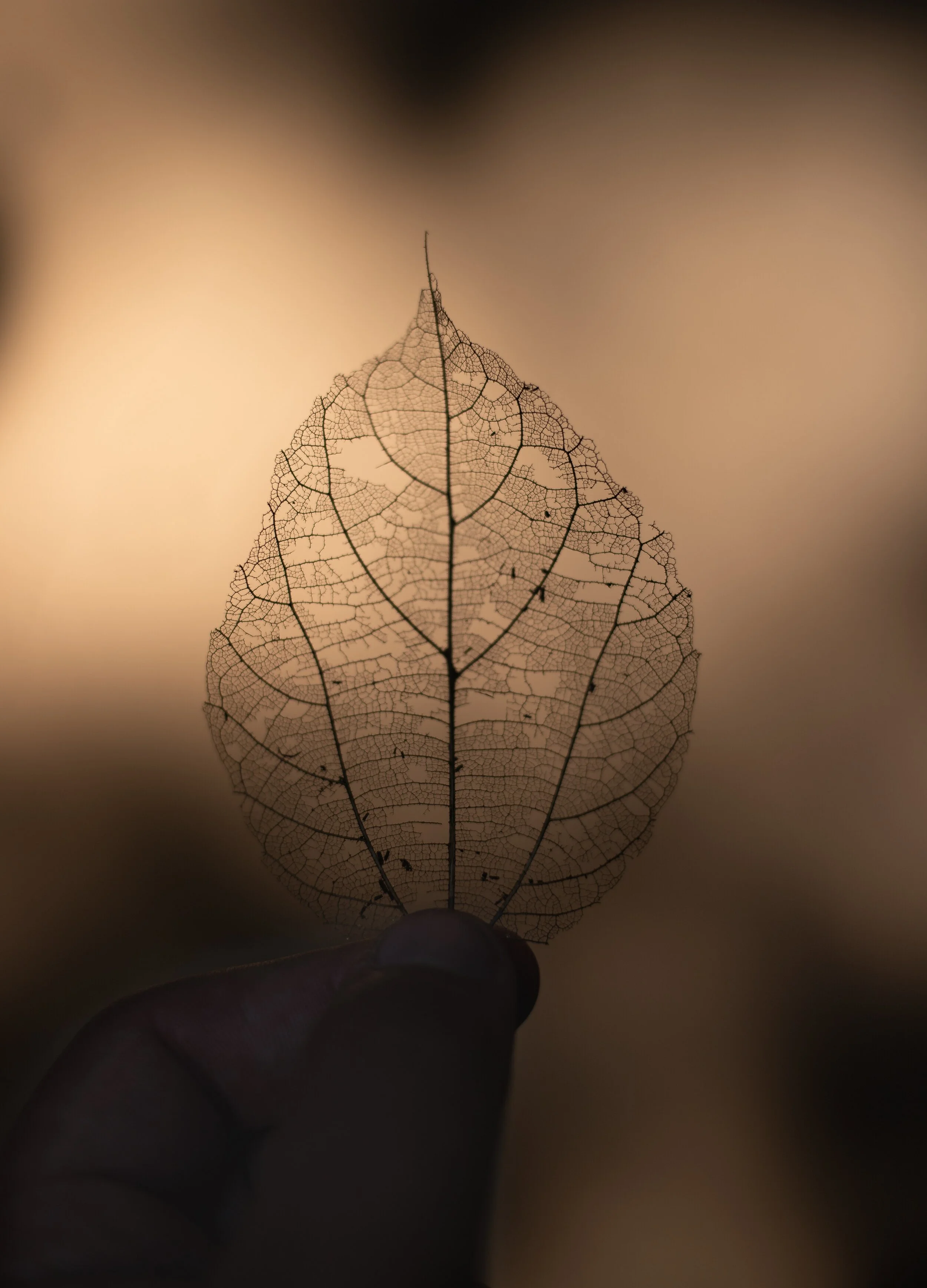 Steps Towards Imperfection and Embracing It