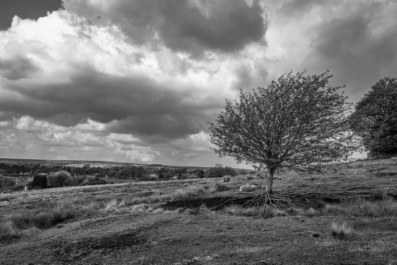 Trauma, Childlessness and Grief: Finding the Missing Piece of the Picture 