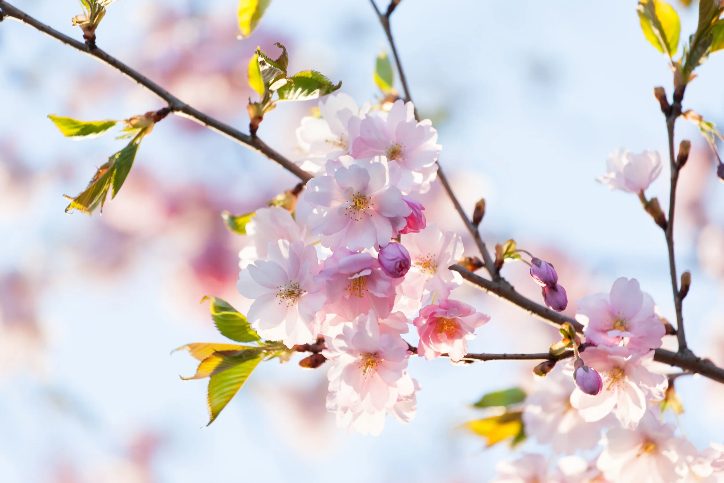 Noticing Good Change