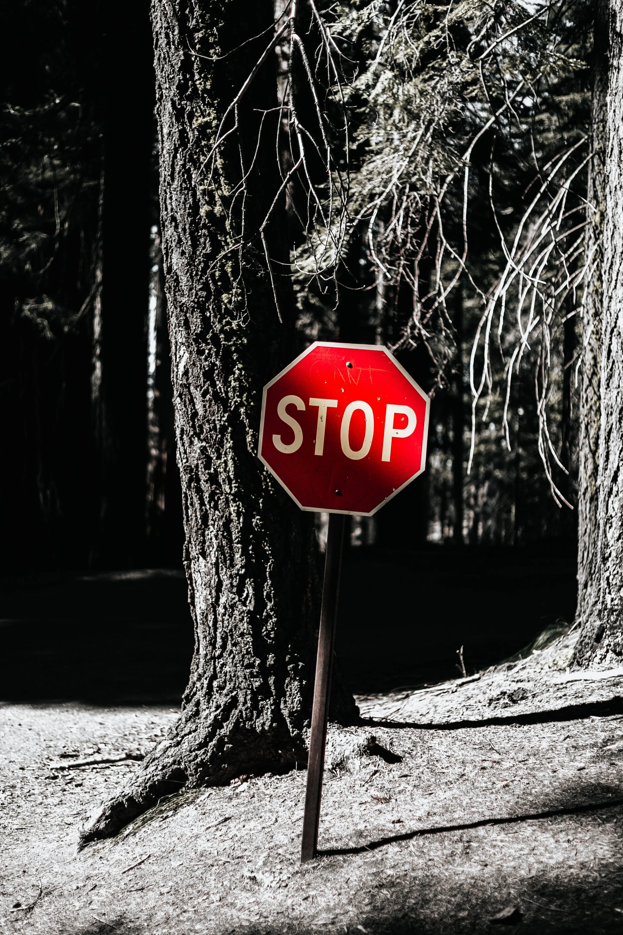 Pregiudizi E Giudizi : STOP!