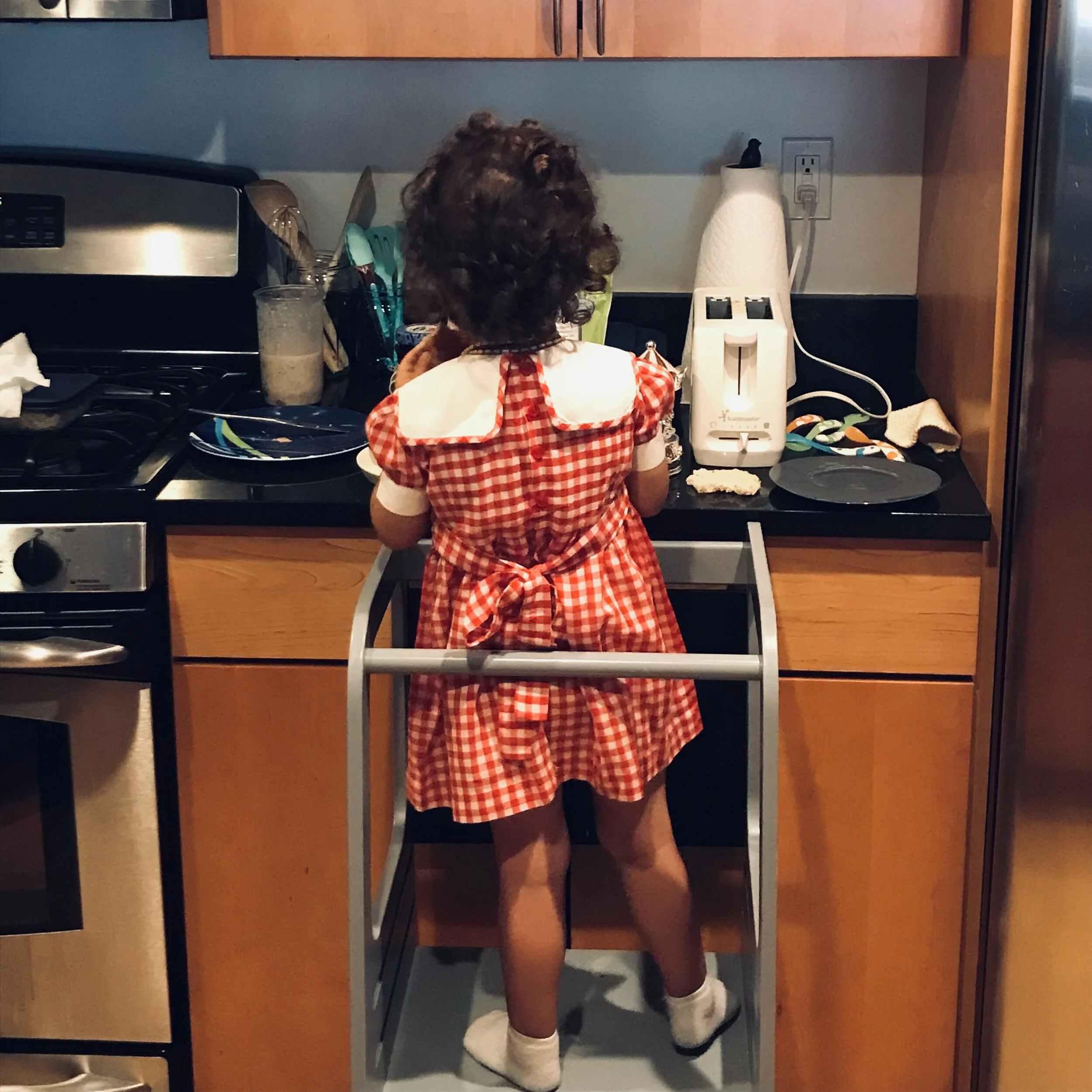 A Red Gingham Dress