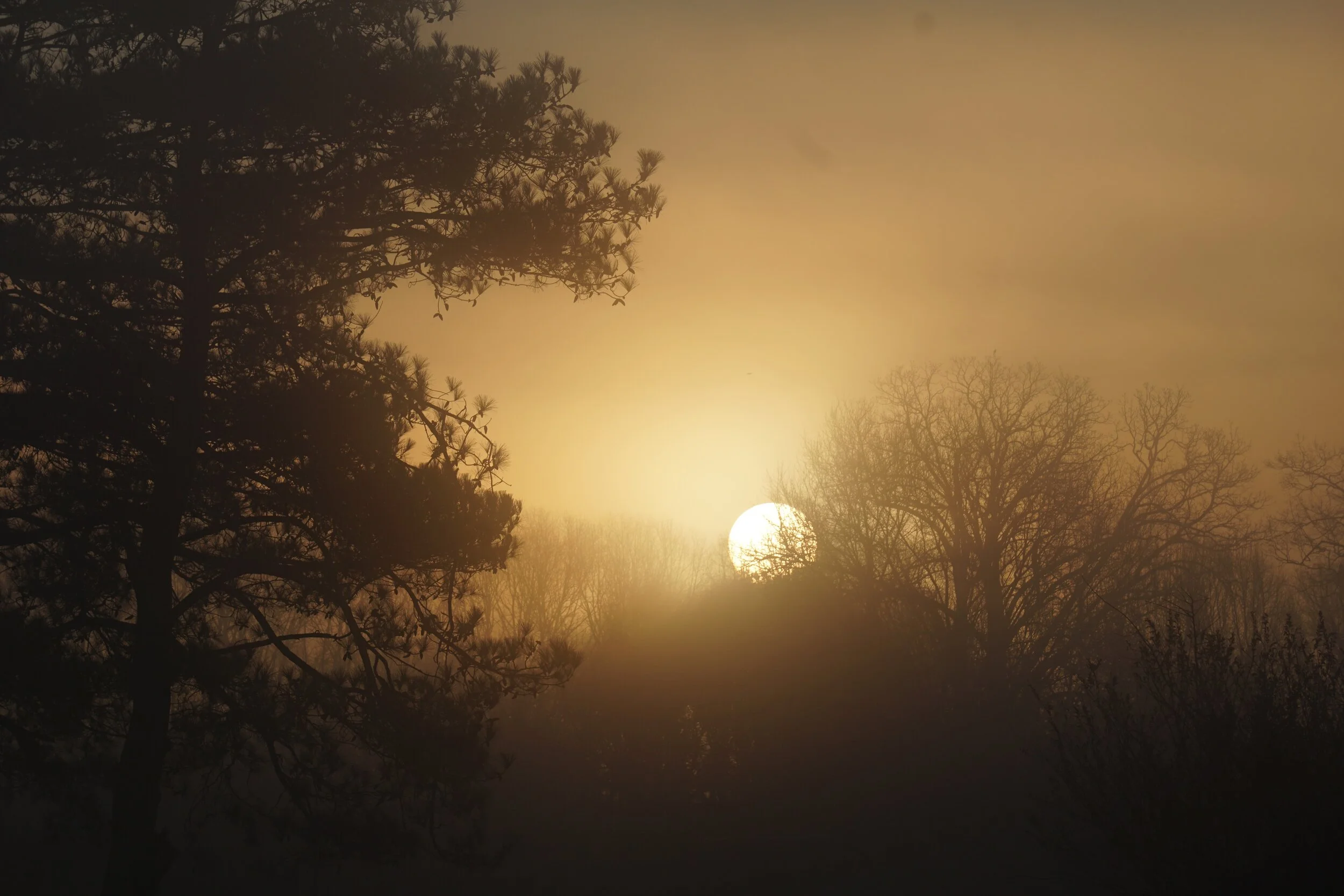 Life Is a Feeling Experience: Sadness Moves Us Toward What is to be Gained