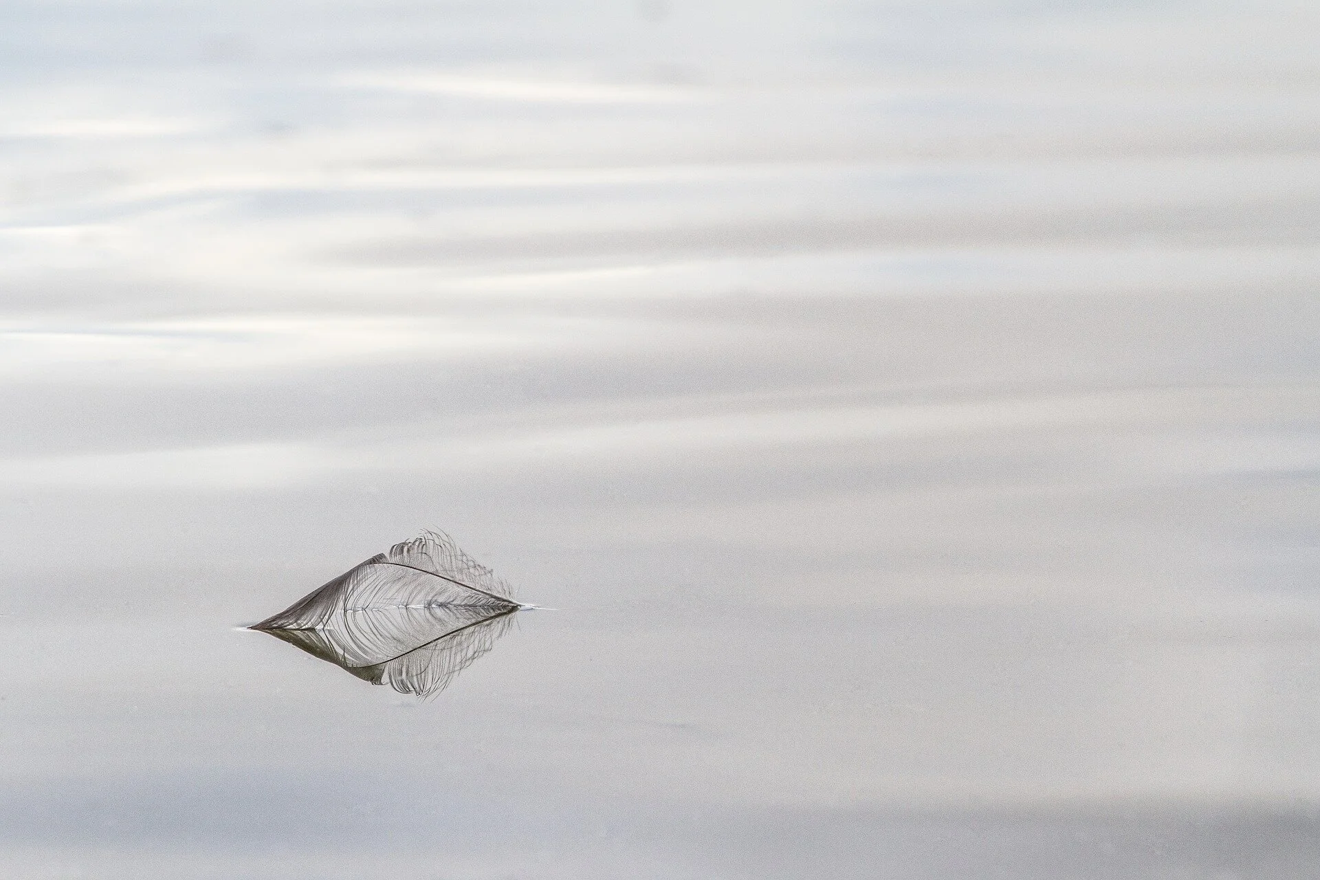 What if it were true?