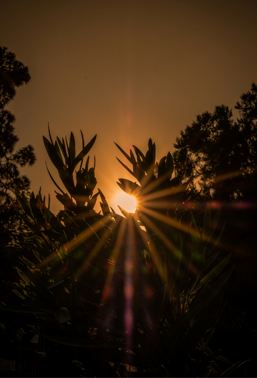 Existence and Transformation