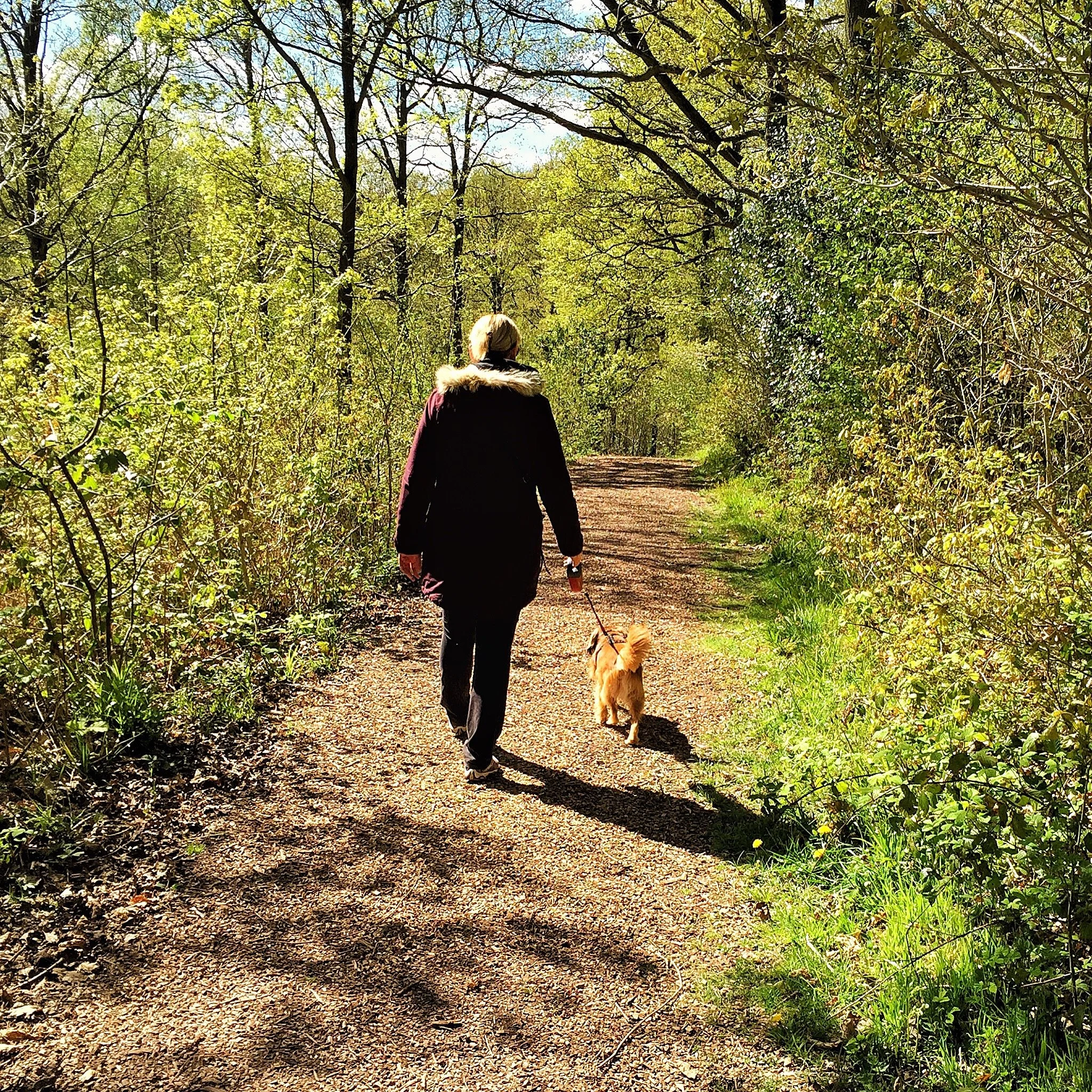 Hiding in plain sight - a childless woman’s perspective and life 