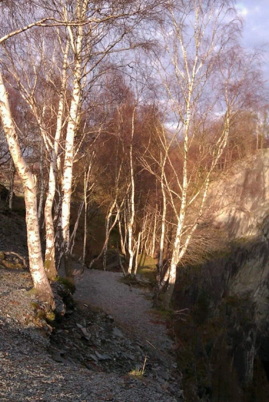 A Winding Journey of Sunshine &amp; Shadows
