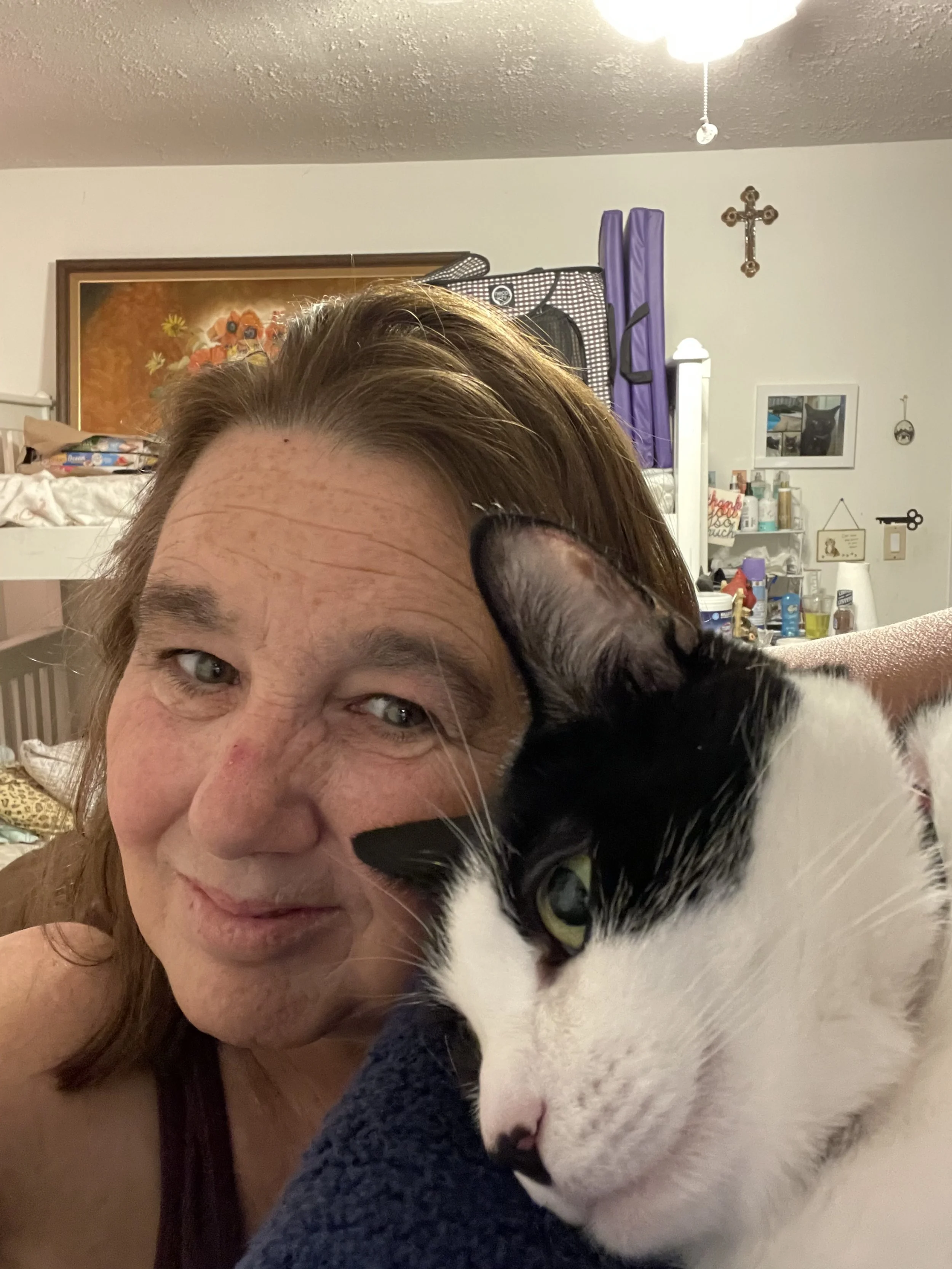 My Life as Childless and Single 