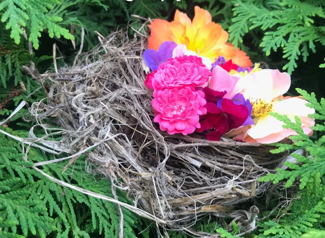 The Empty Nest