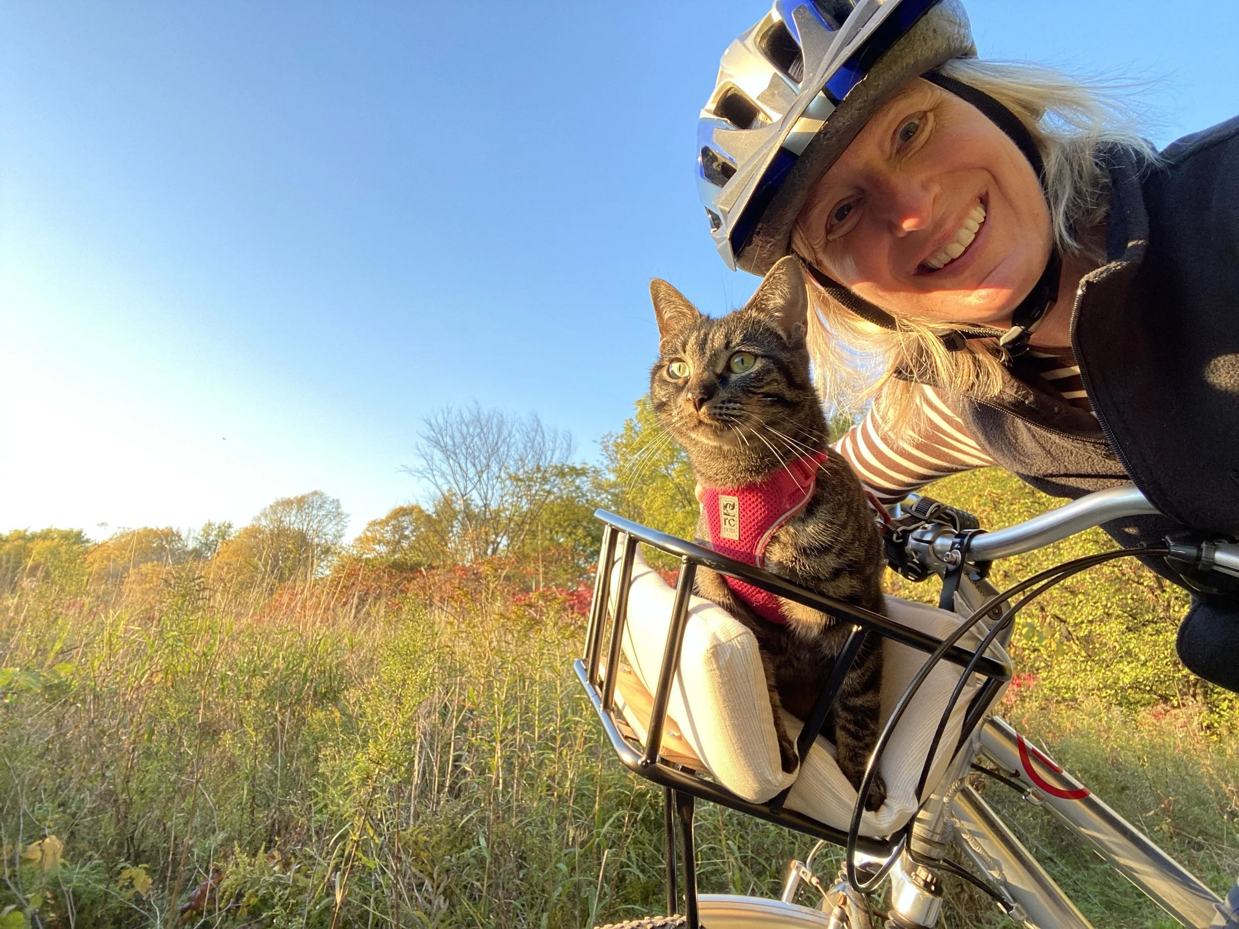 What A Cat Taught Me About Motherhood