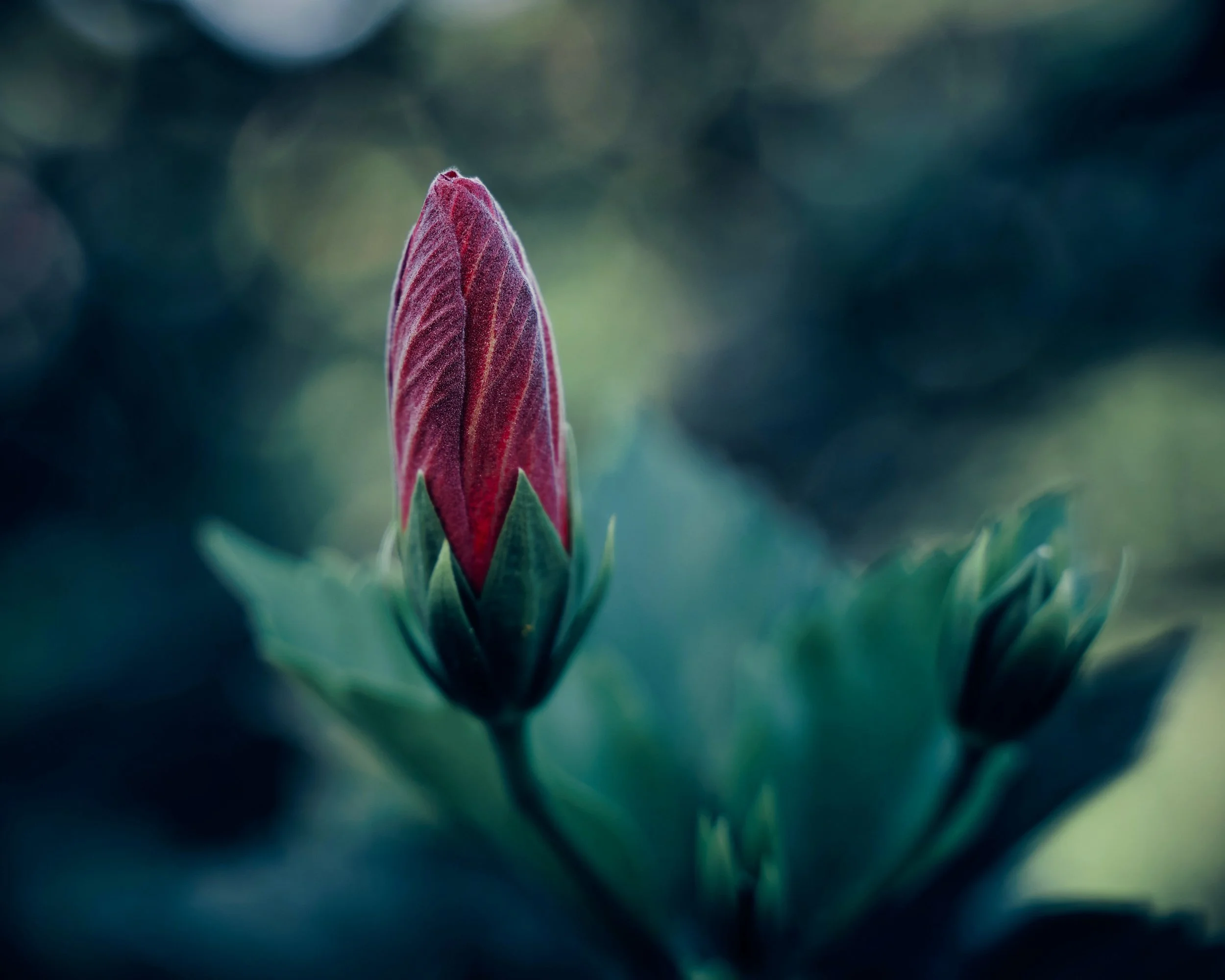 The paradox of Infertility giving birth to Change