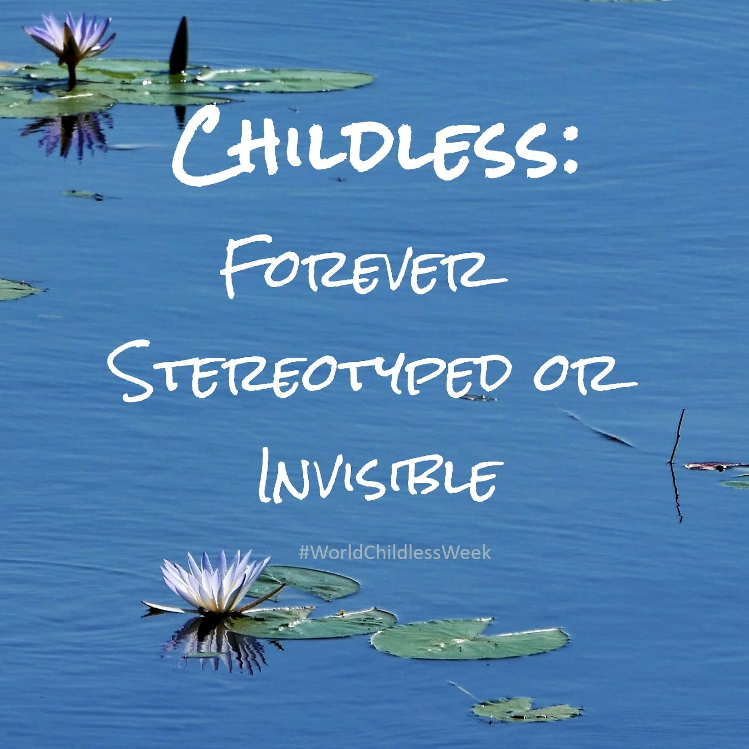 Forever Stereotyped or Invisible