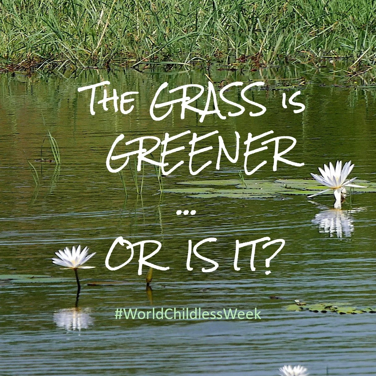 The grass is greener ... or is it?