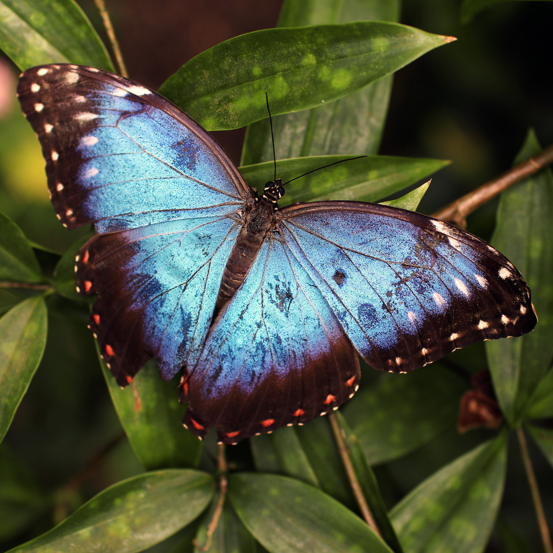 Childlessness changes you: Reconnecting and Connecting to yourself