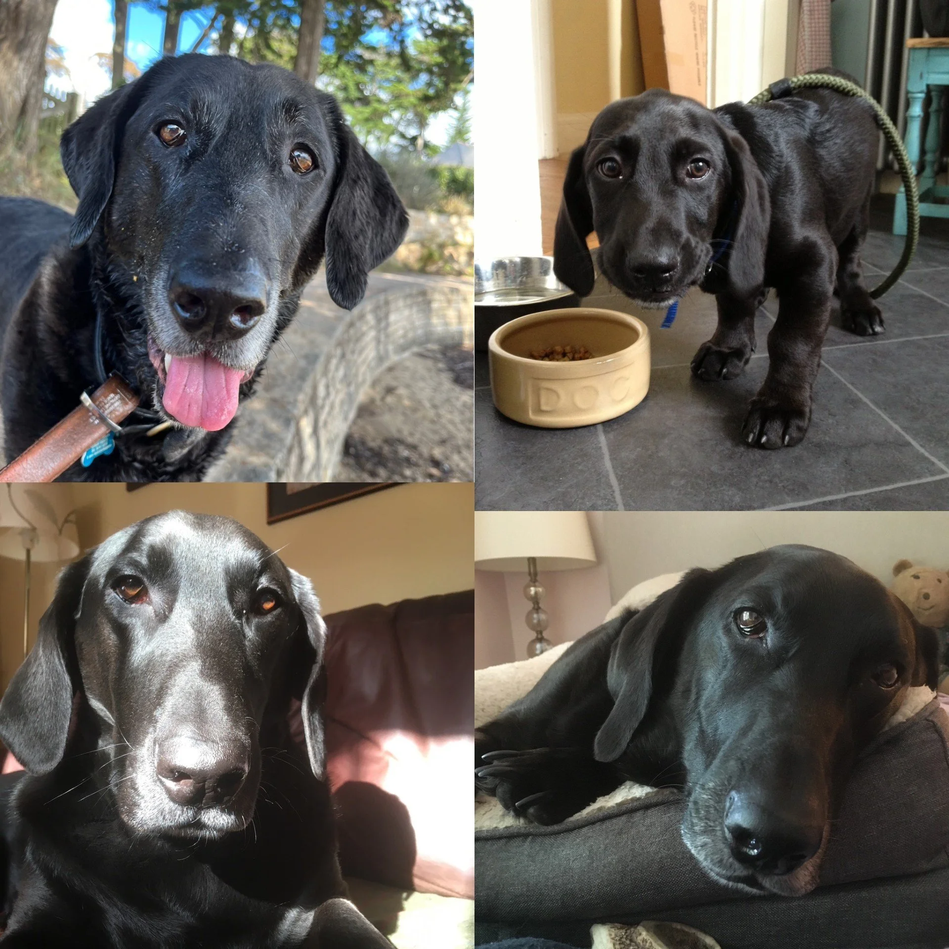 An Appreciation of Boris