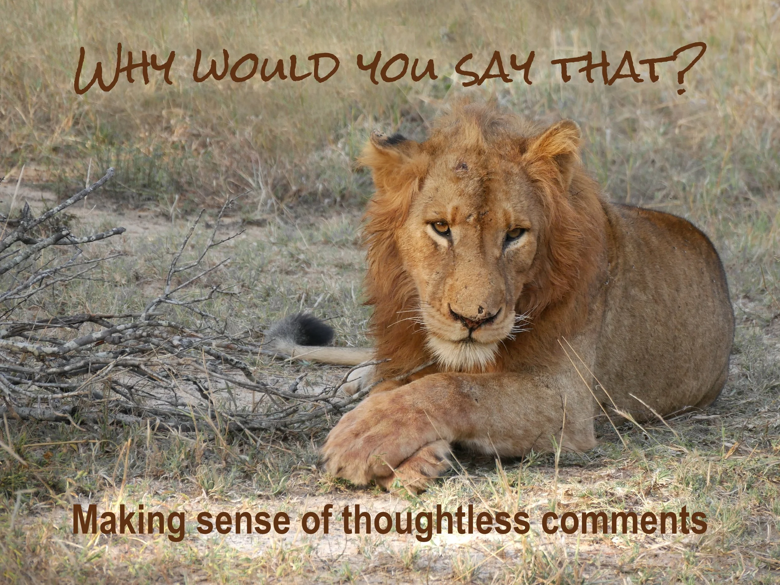 Why would you say that?