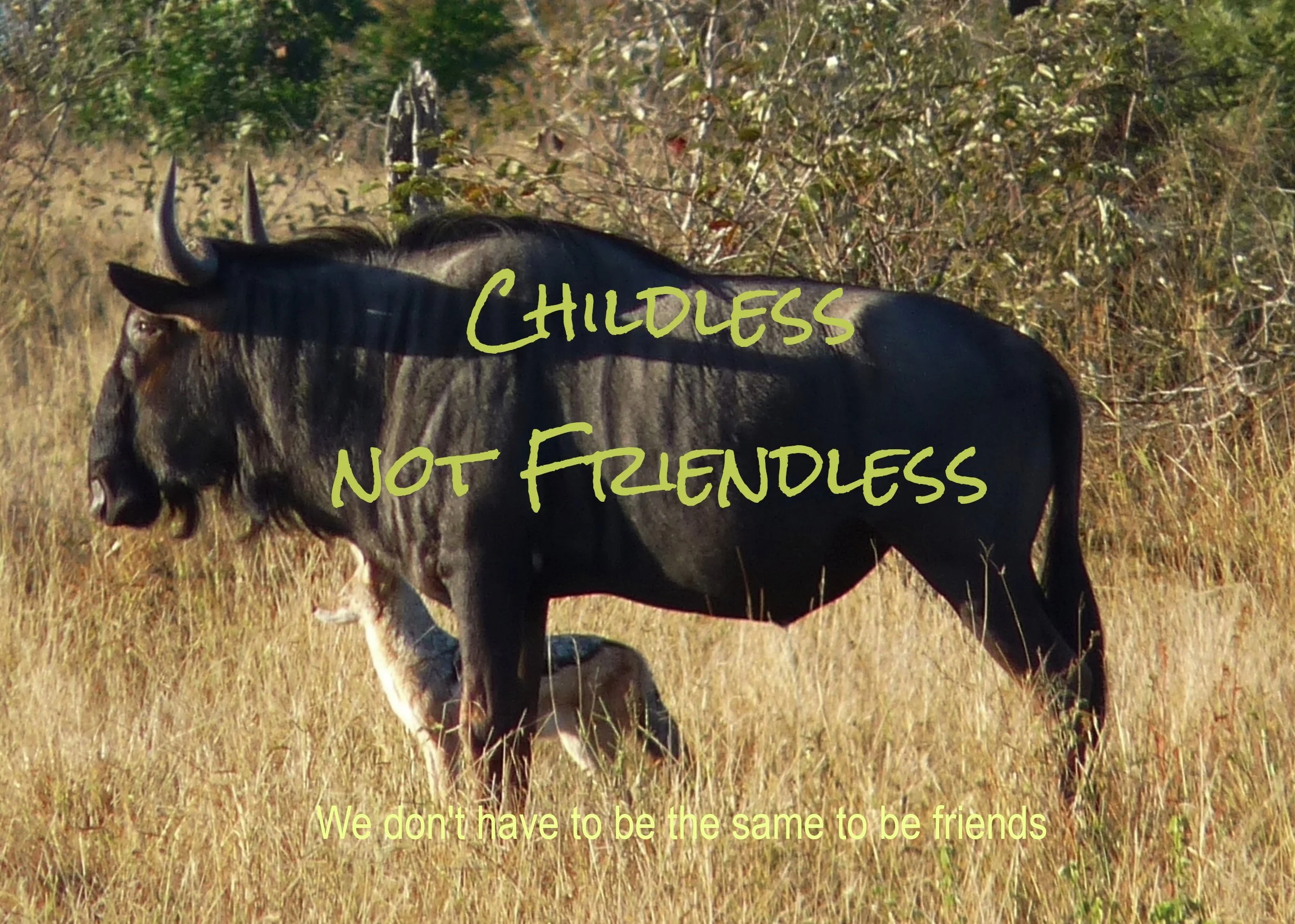 Childless but not friendless