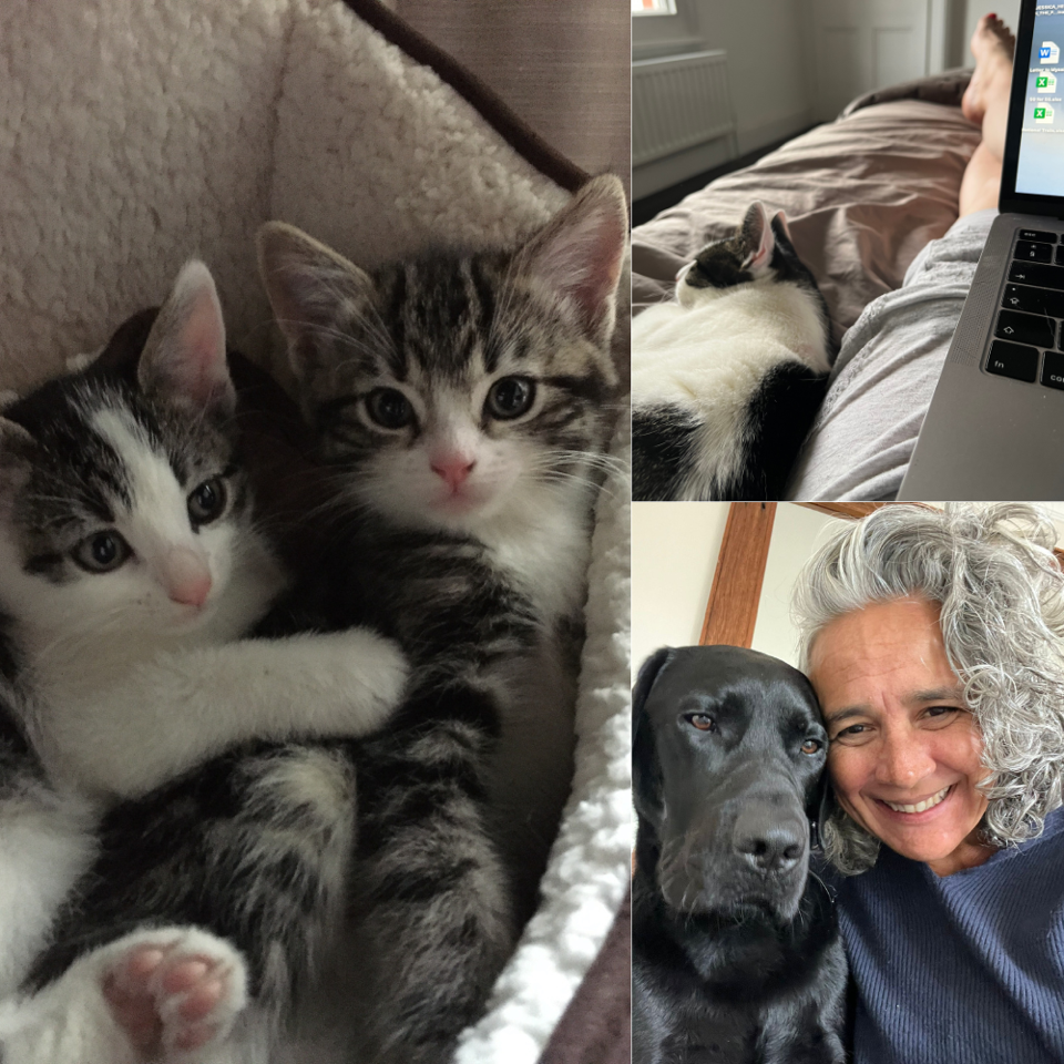 Fur Babies